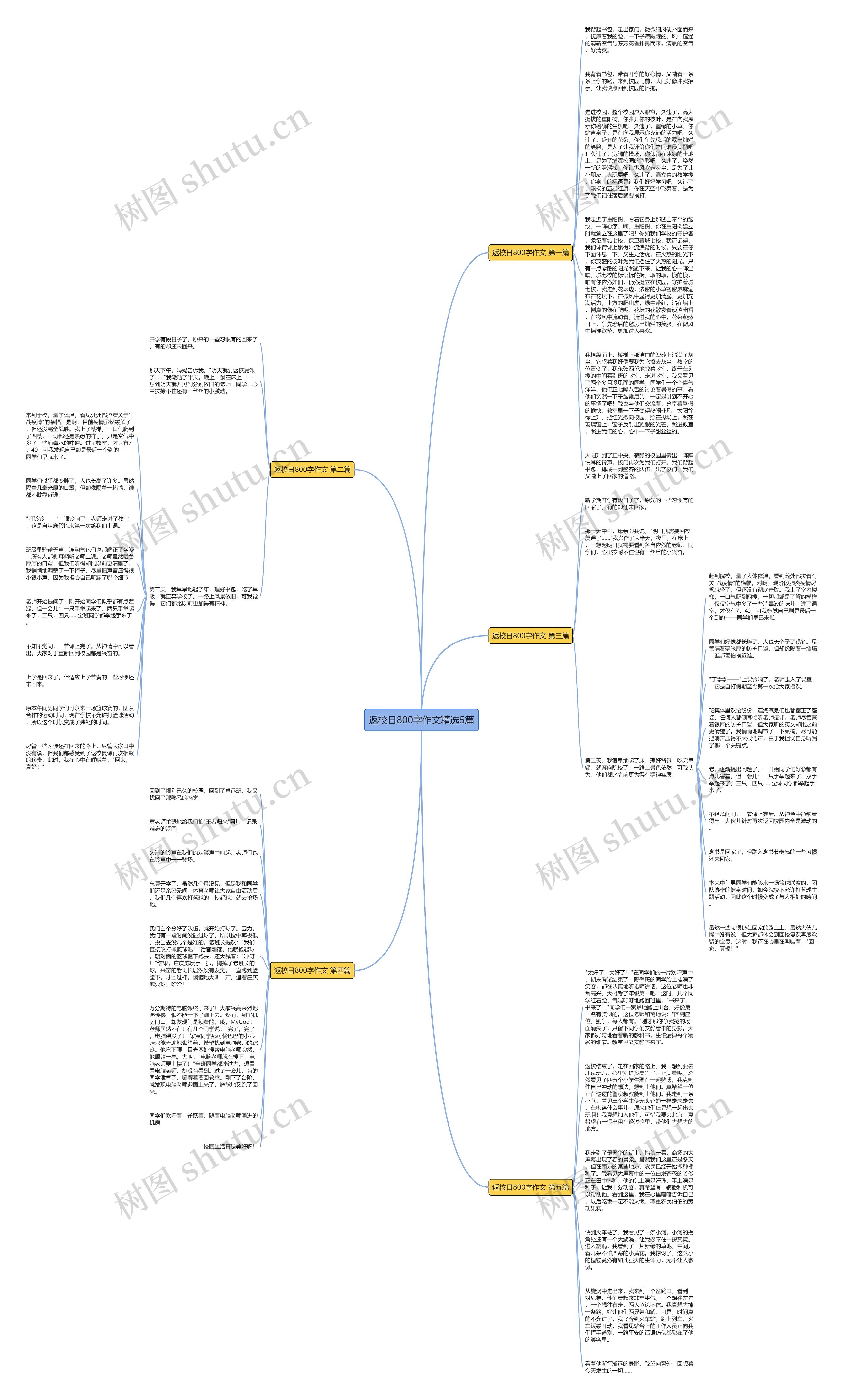 返校日800字作文精选5篇思维导图