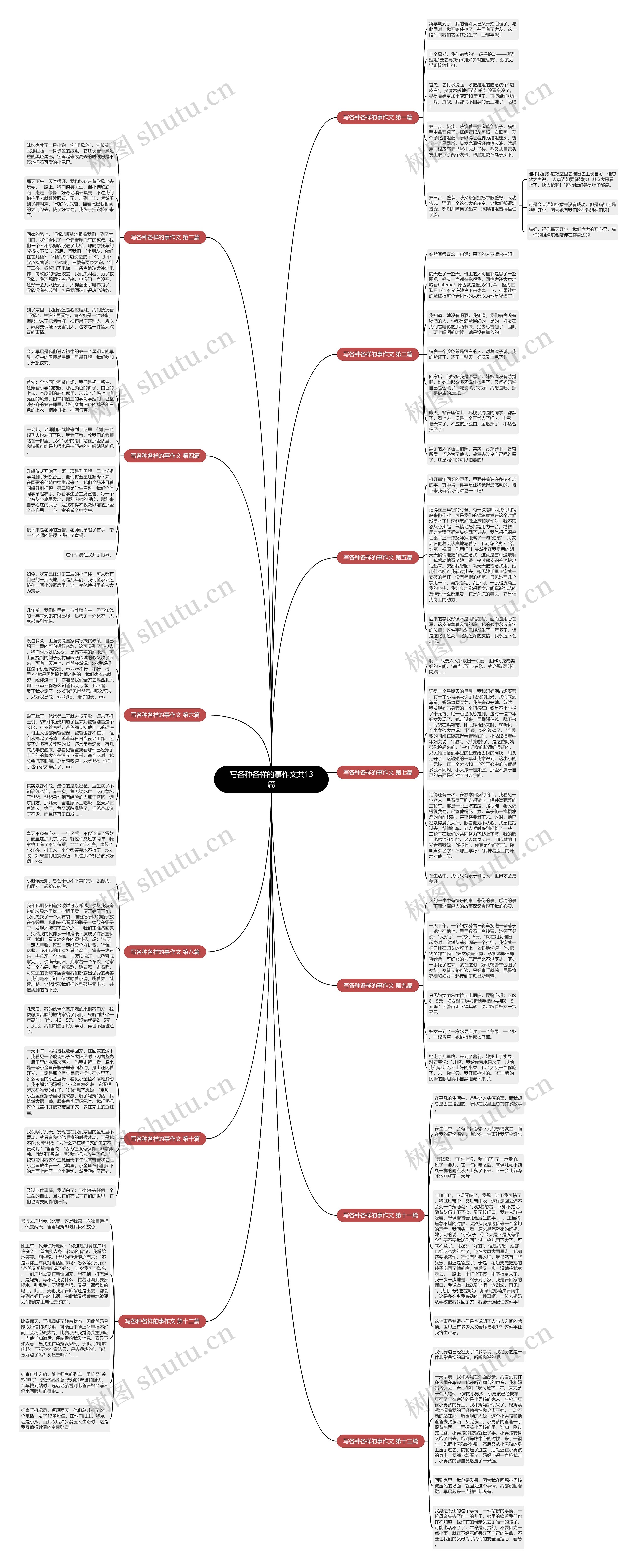 写各种各样的事作文共13篇思维导图
