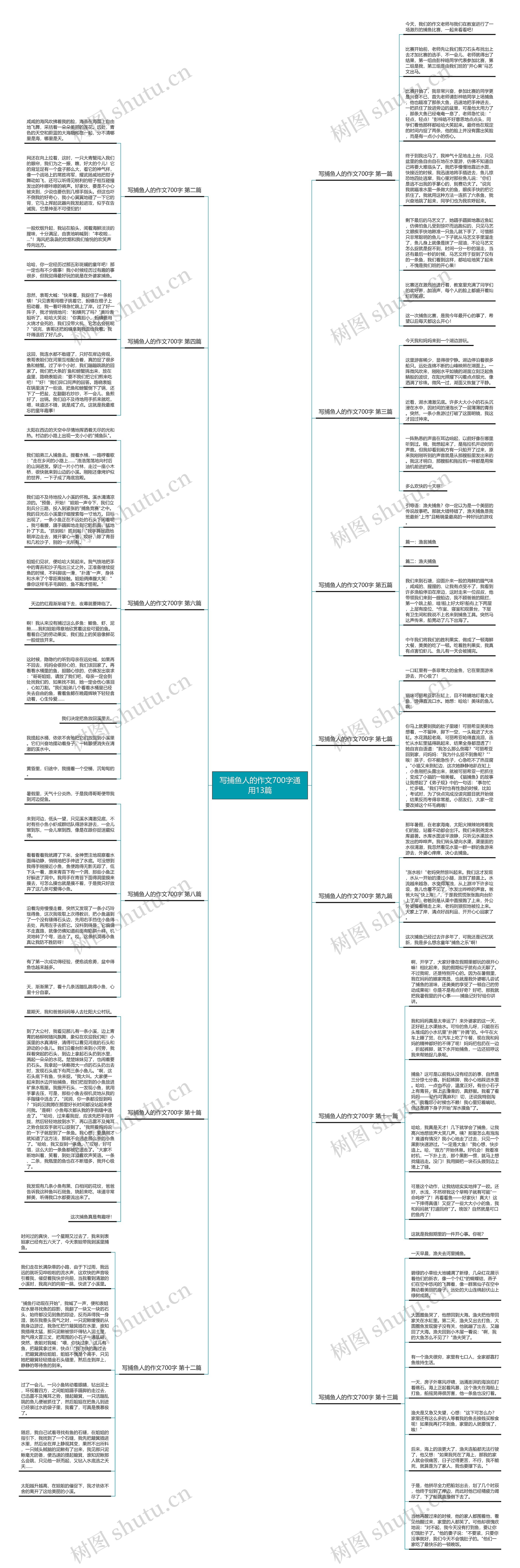写捕鱼人的作文700字通用13篇思维导图