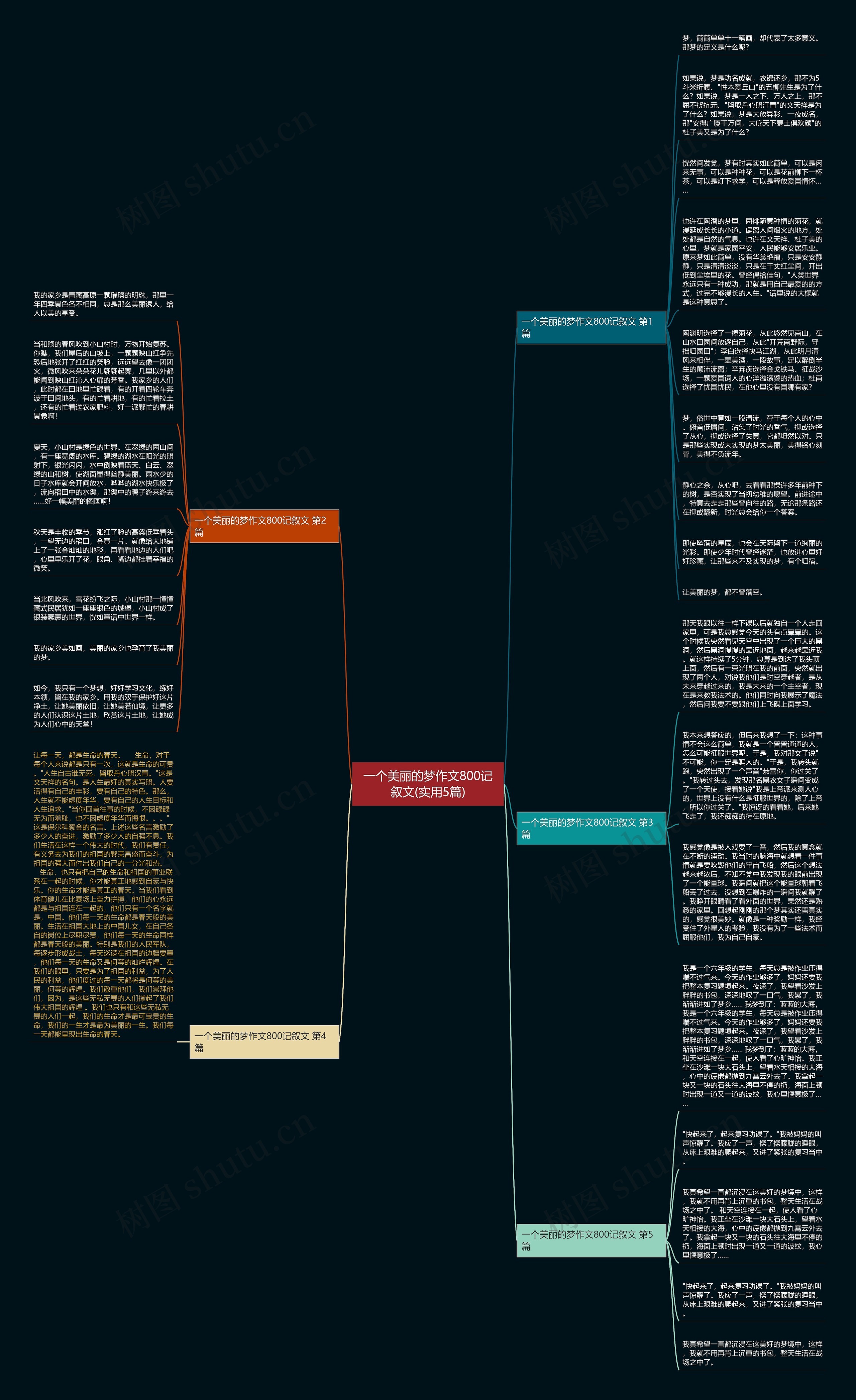 一个美丽的梦作文800记叙文(实用5篇)思维导图