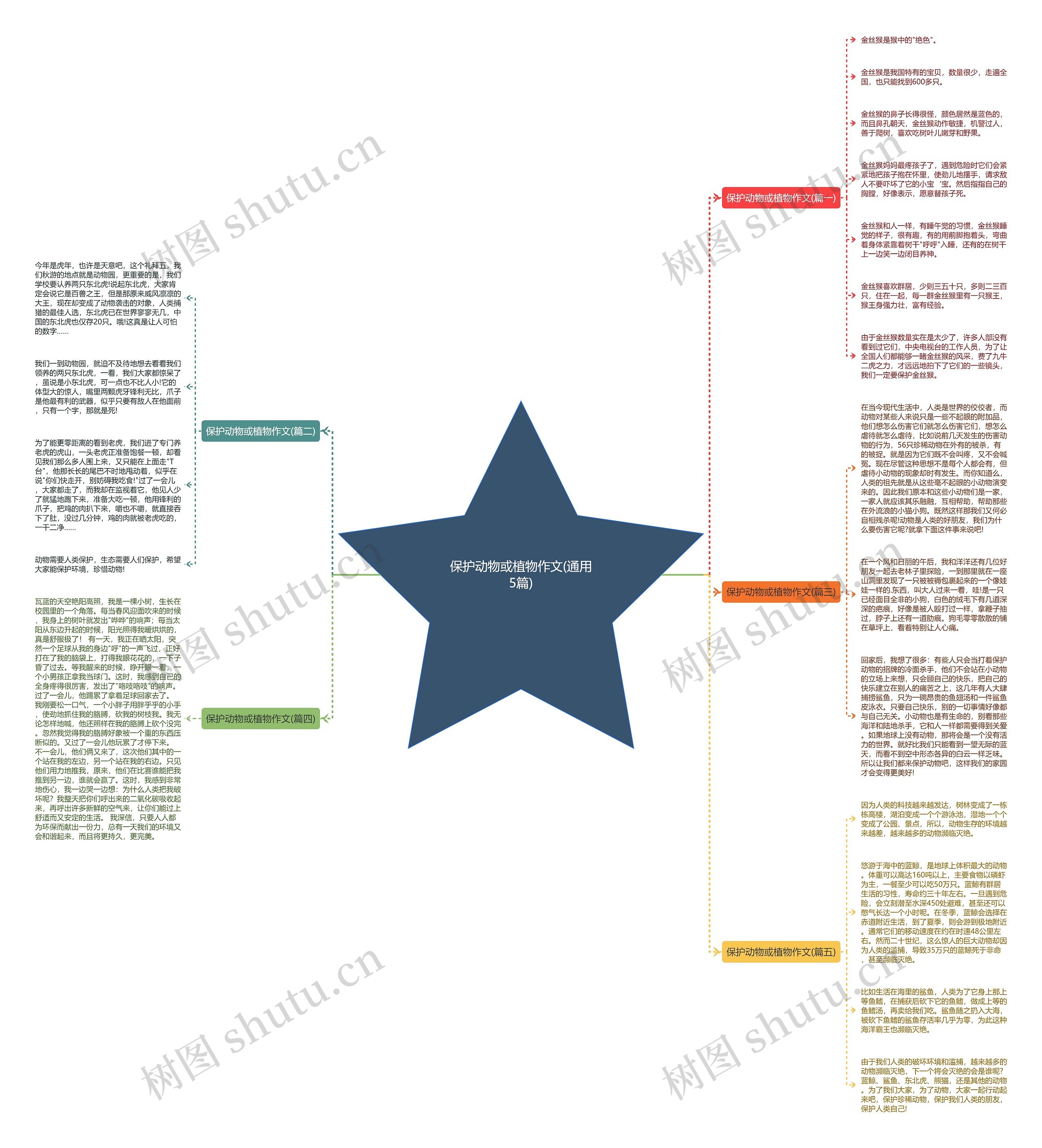 保护动物或植物作文(通用5篇)思维导图