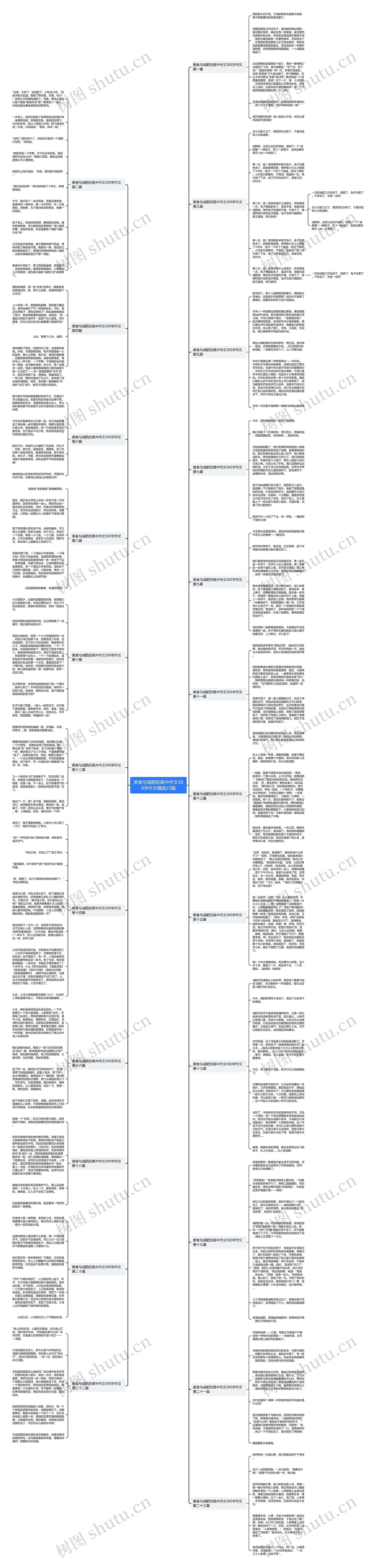 美食与减肥的高中作文300字作文精选23篇思维导图