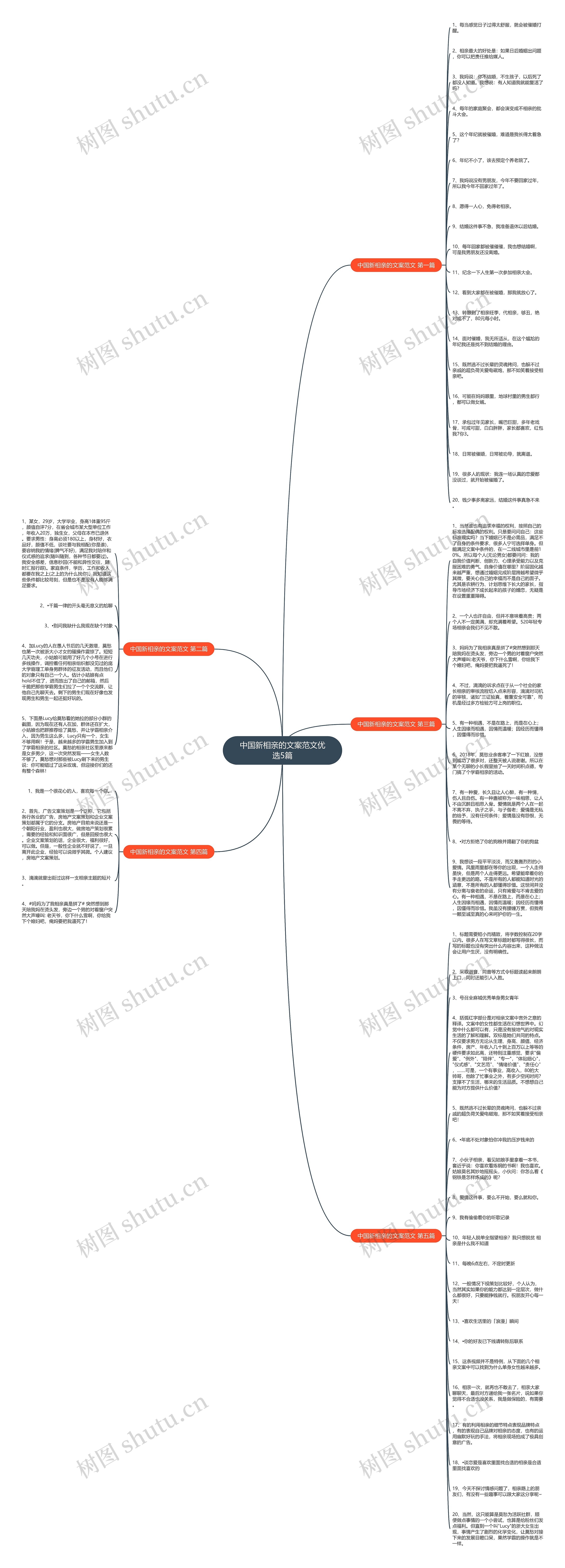 中国新相亲的文案范文优选5篇思维导图
