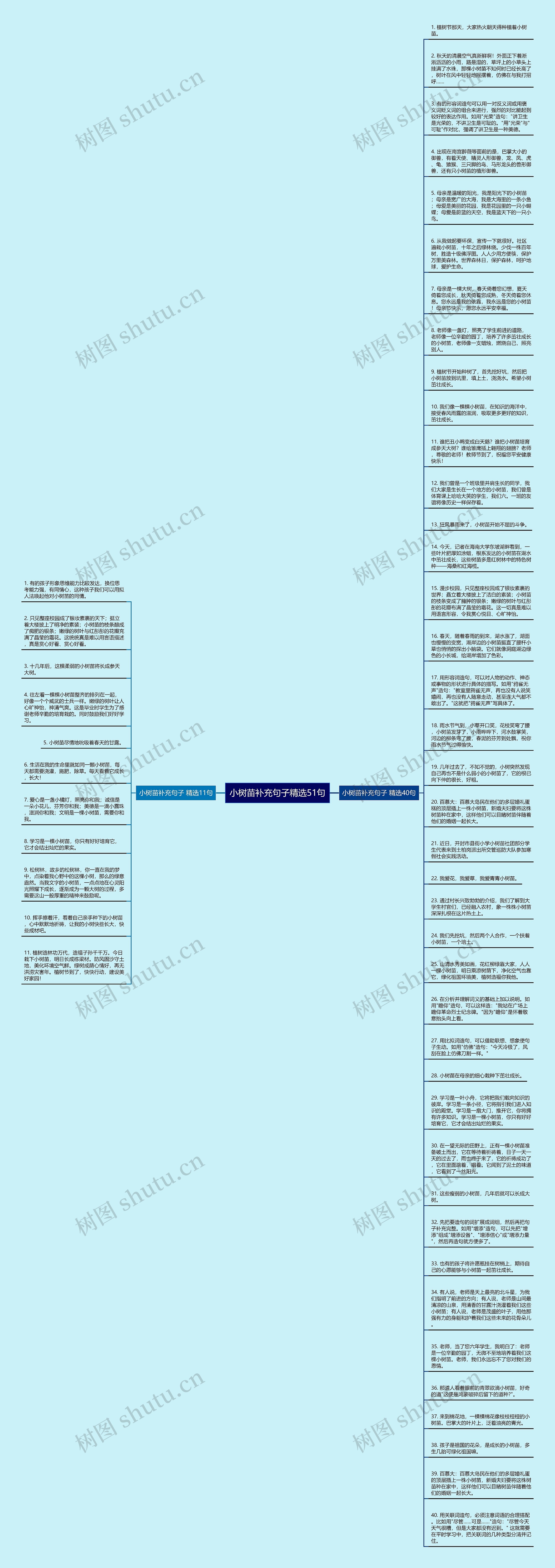 小树苗补充句子精选51句思维导图