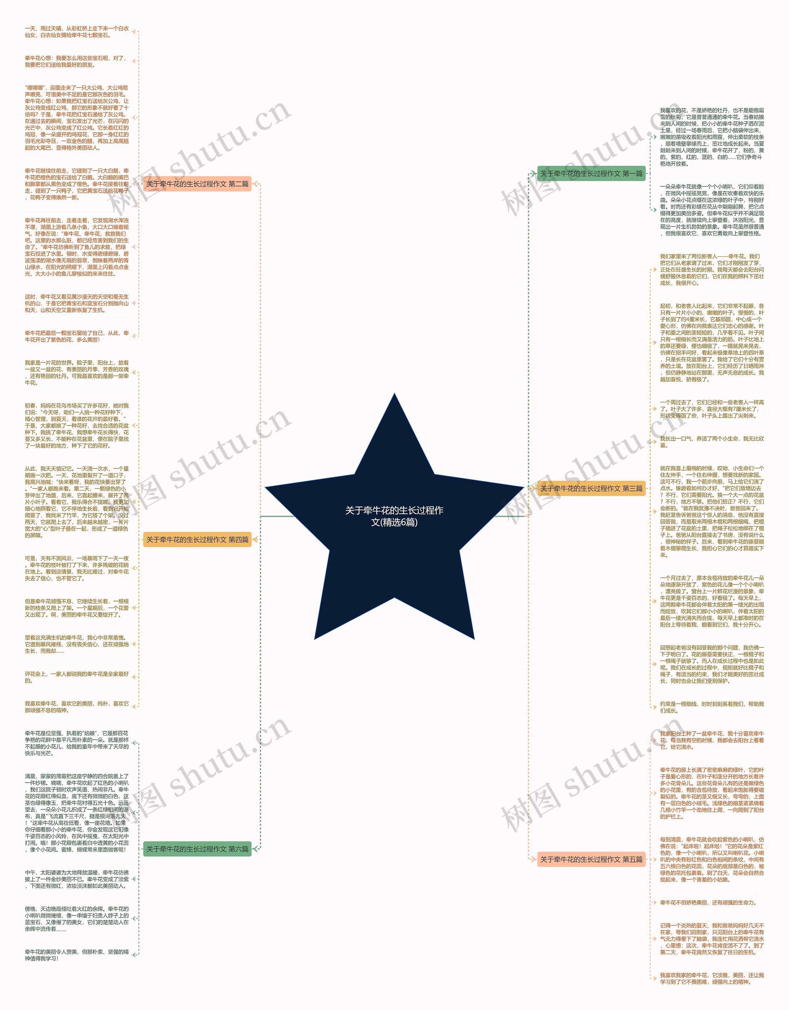 关于牵牛花的生长过程作文(精选6篇)思维导图