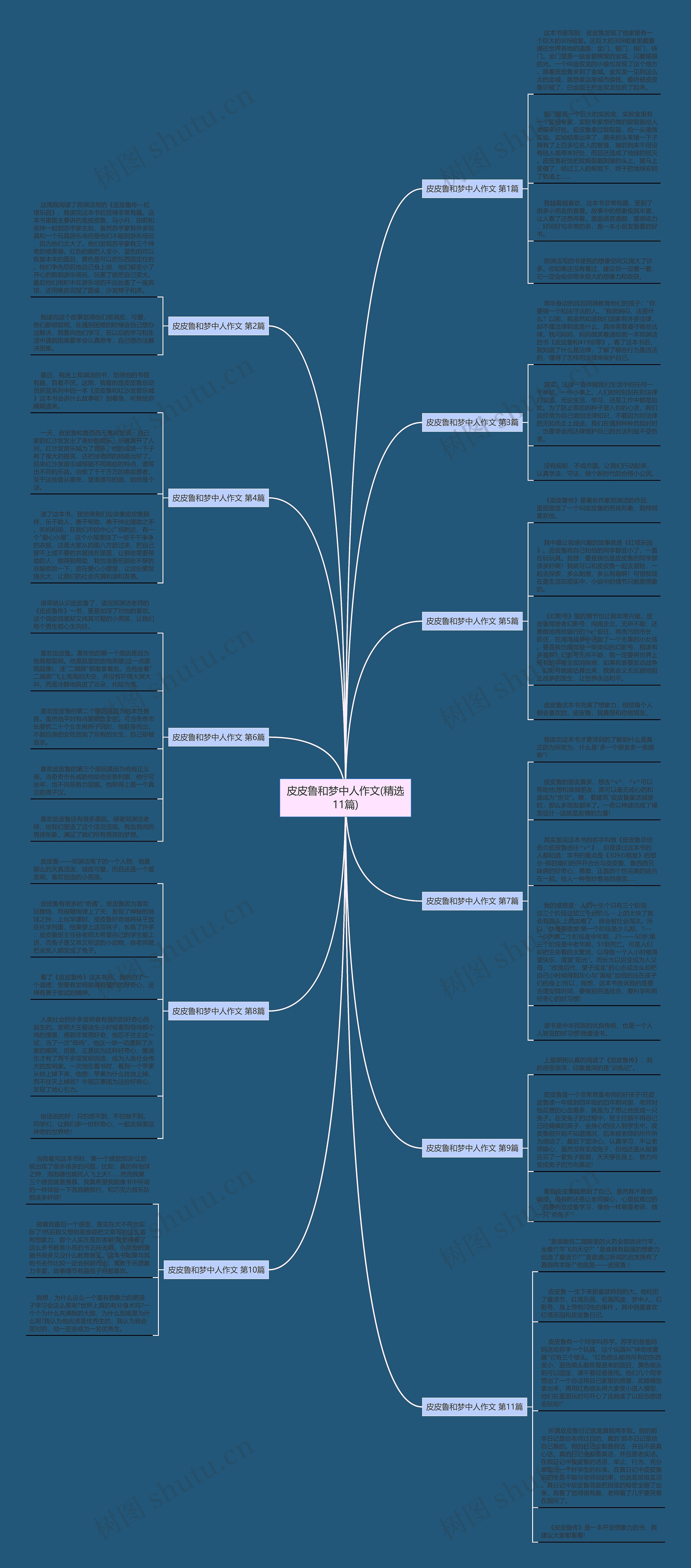 皮皮鲁和梦中人作文(精选11篇) 皮皮鲁和梦中人作文(精选11篇)