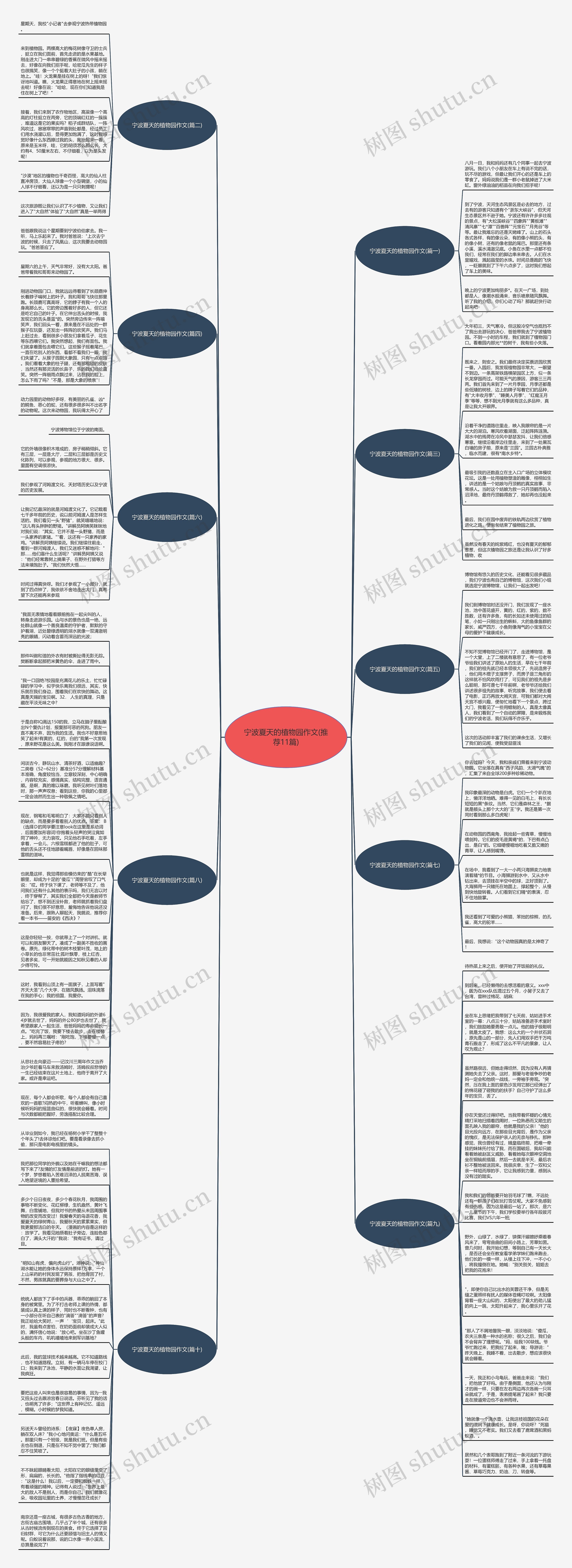 宁波夏天的植物园作文(推荐11篇)思维导图