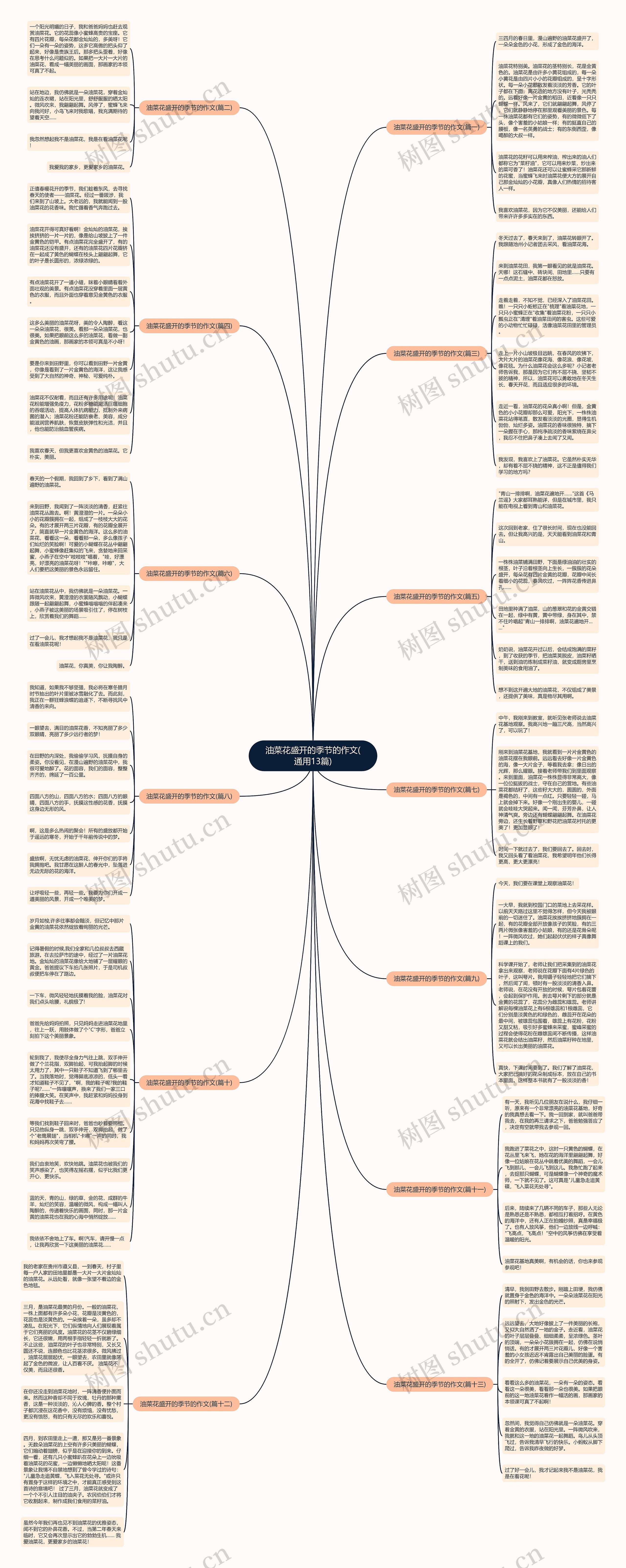 油菜花盛开的季节的作文(通用13篇)思维导图