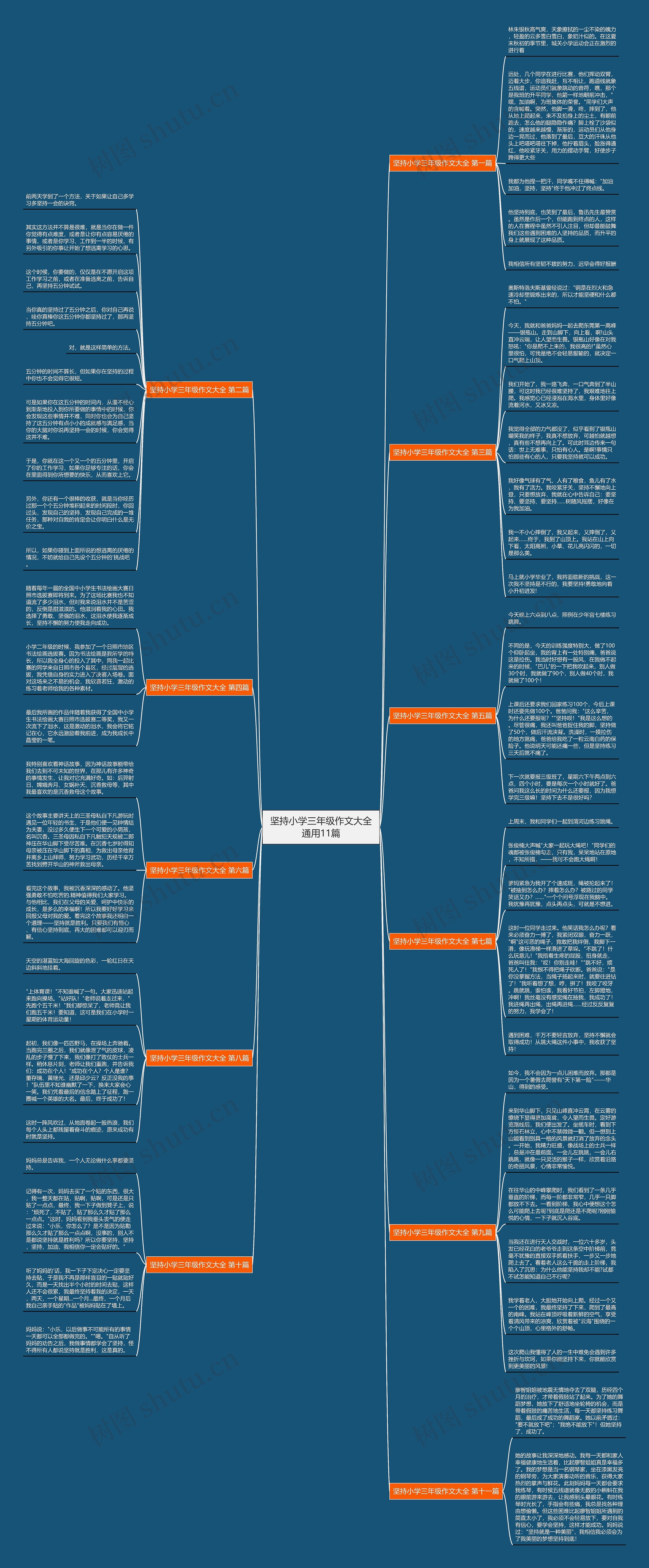 坚持小学三年级作文大全通用11篇思维导图