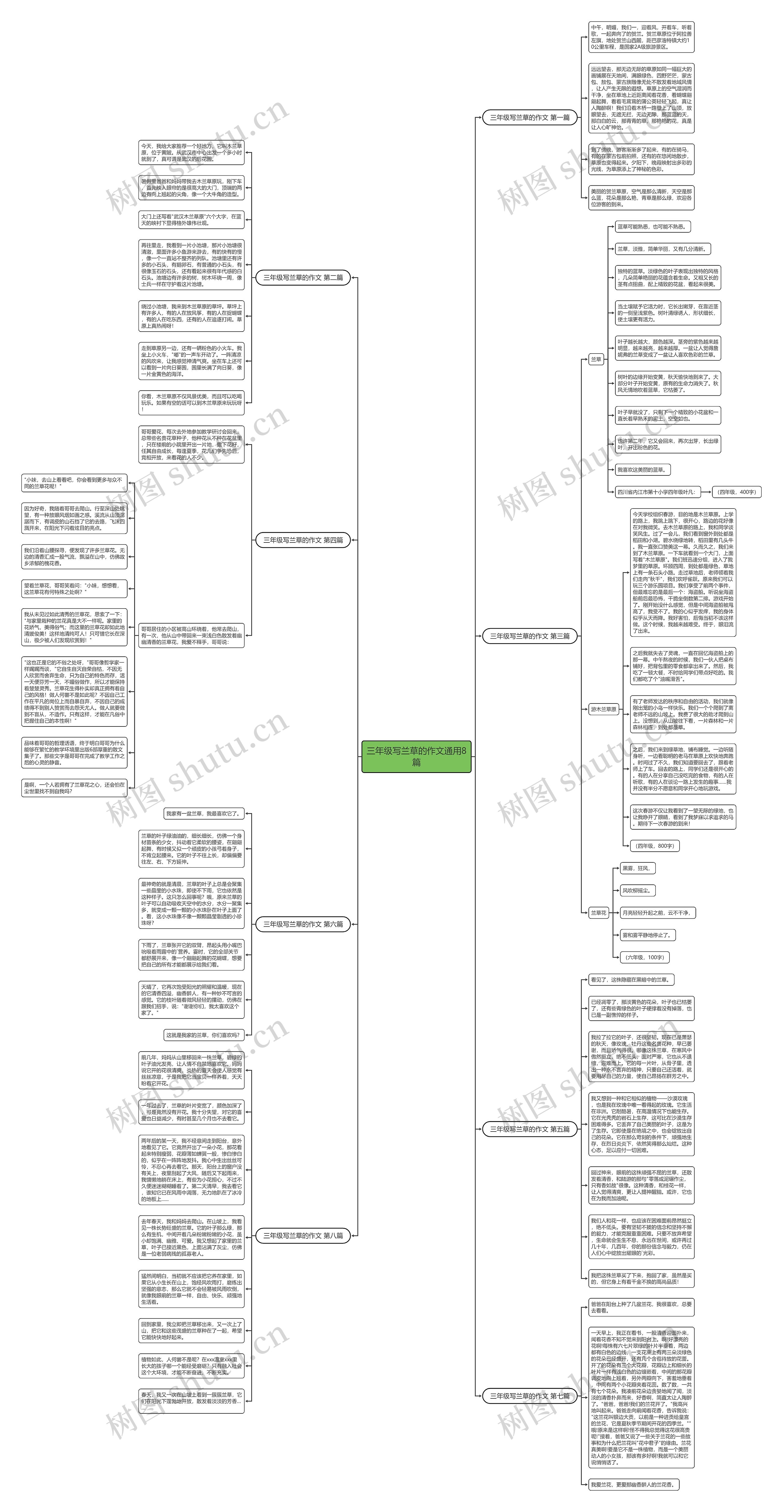 三年级写兰草的作文通用8篇思维导图