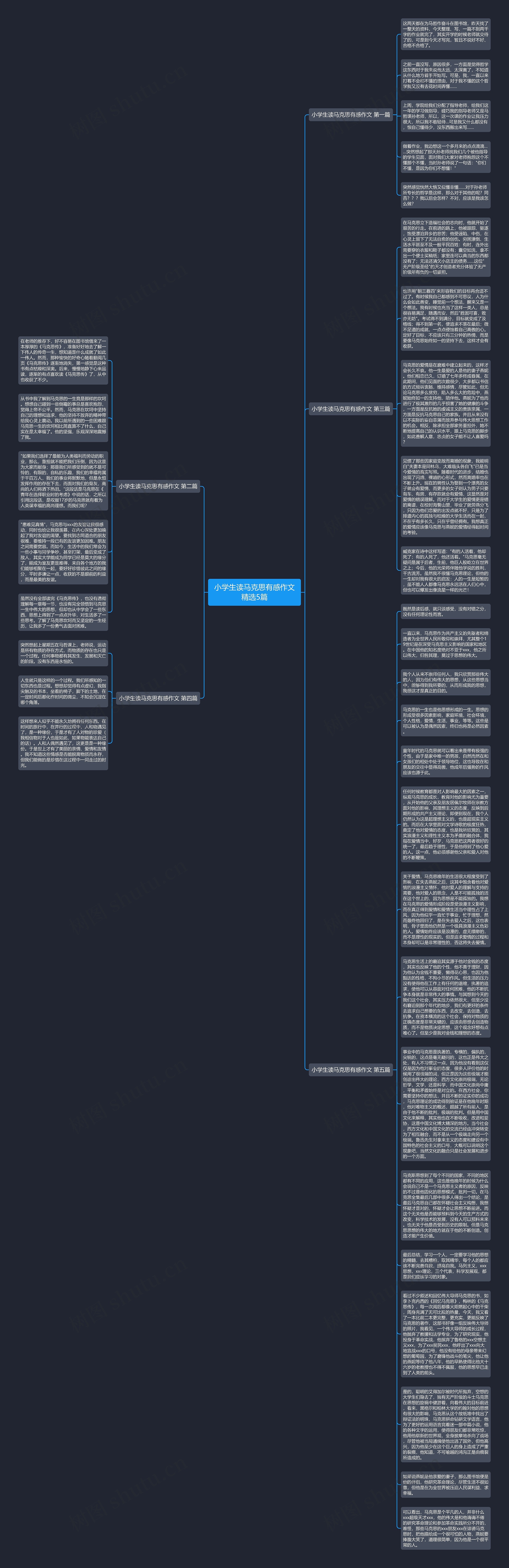 小学生读马克思有感作文精选5篇思维导图