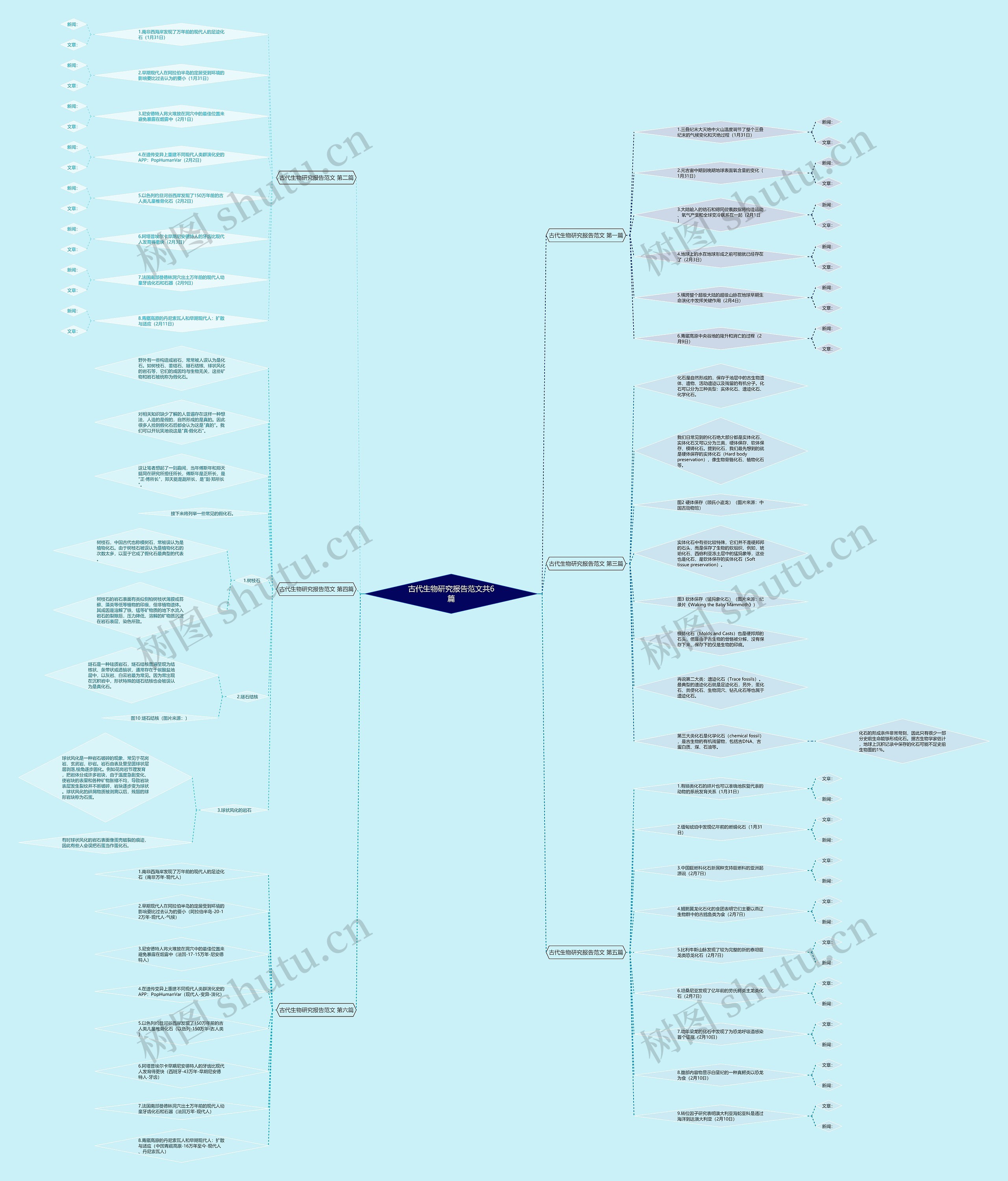 古代生物研究报告范文共6篇思维导图