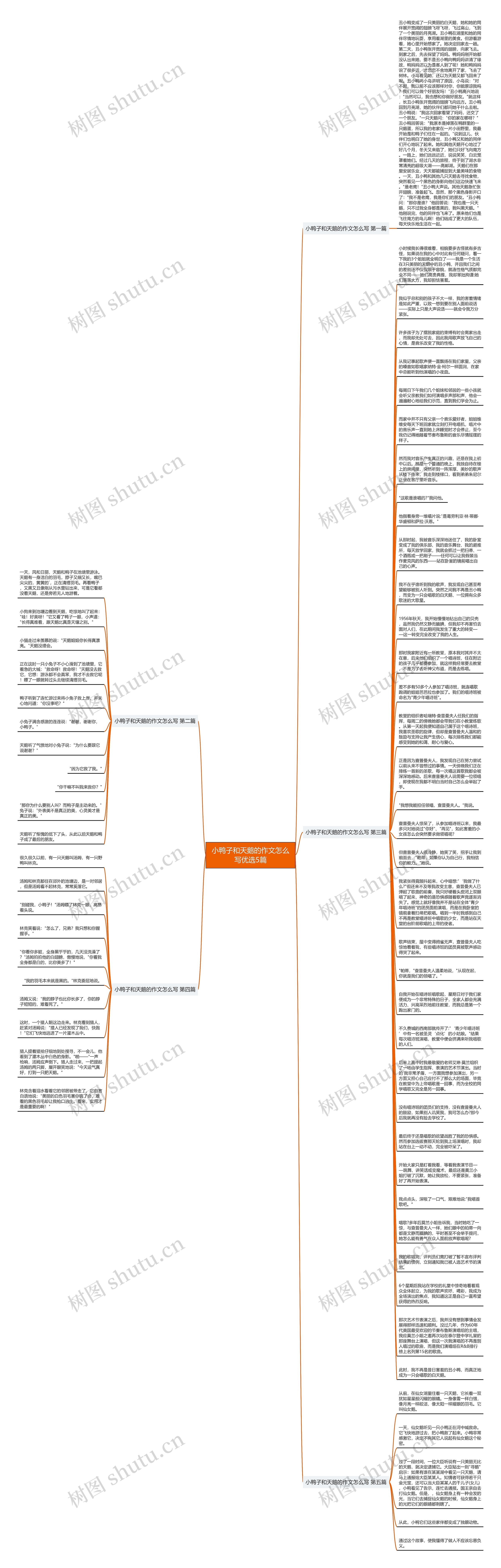 小鸭子和天鹅的作文怎么写优选5篇思维导图