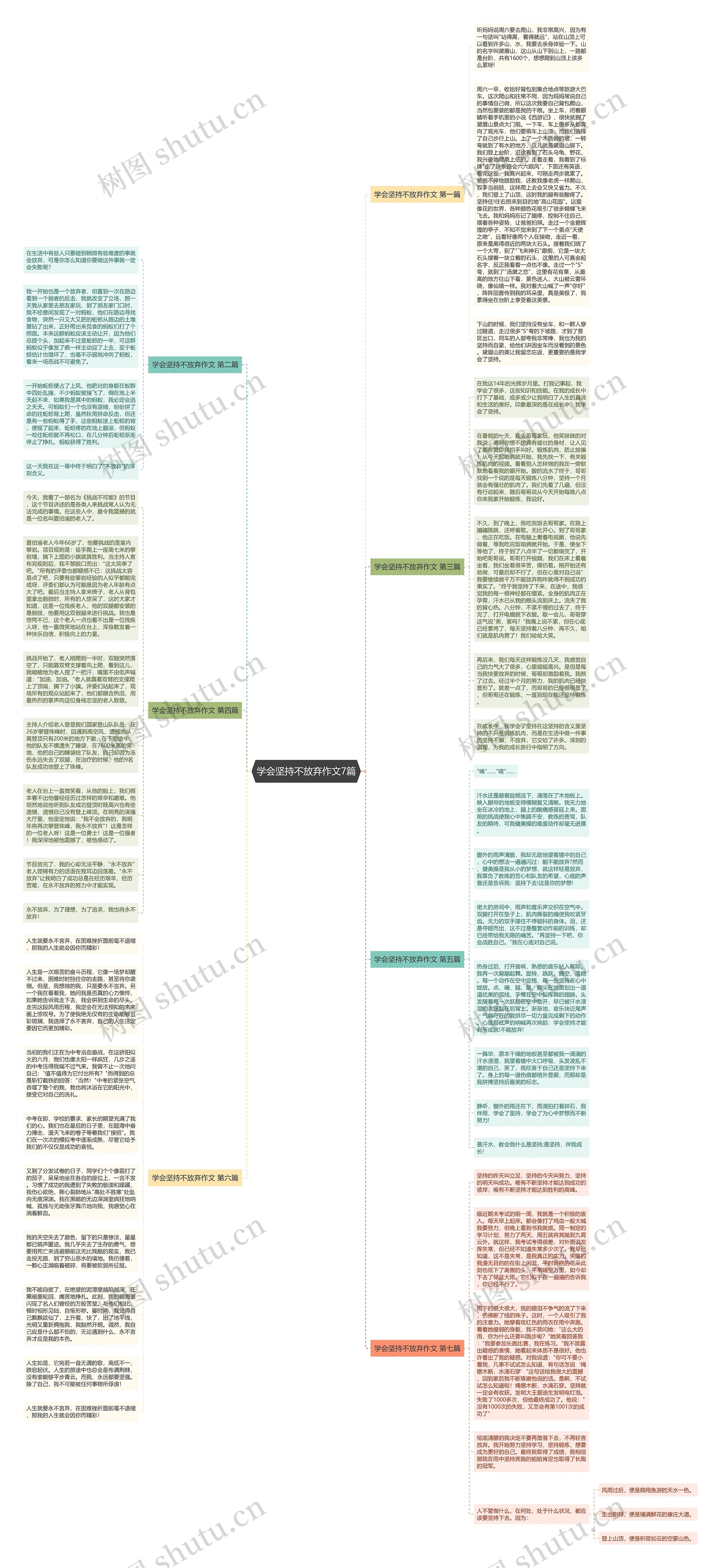 学会坚持不放弃作文7篇思维导图