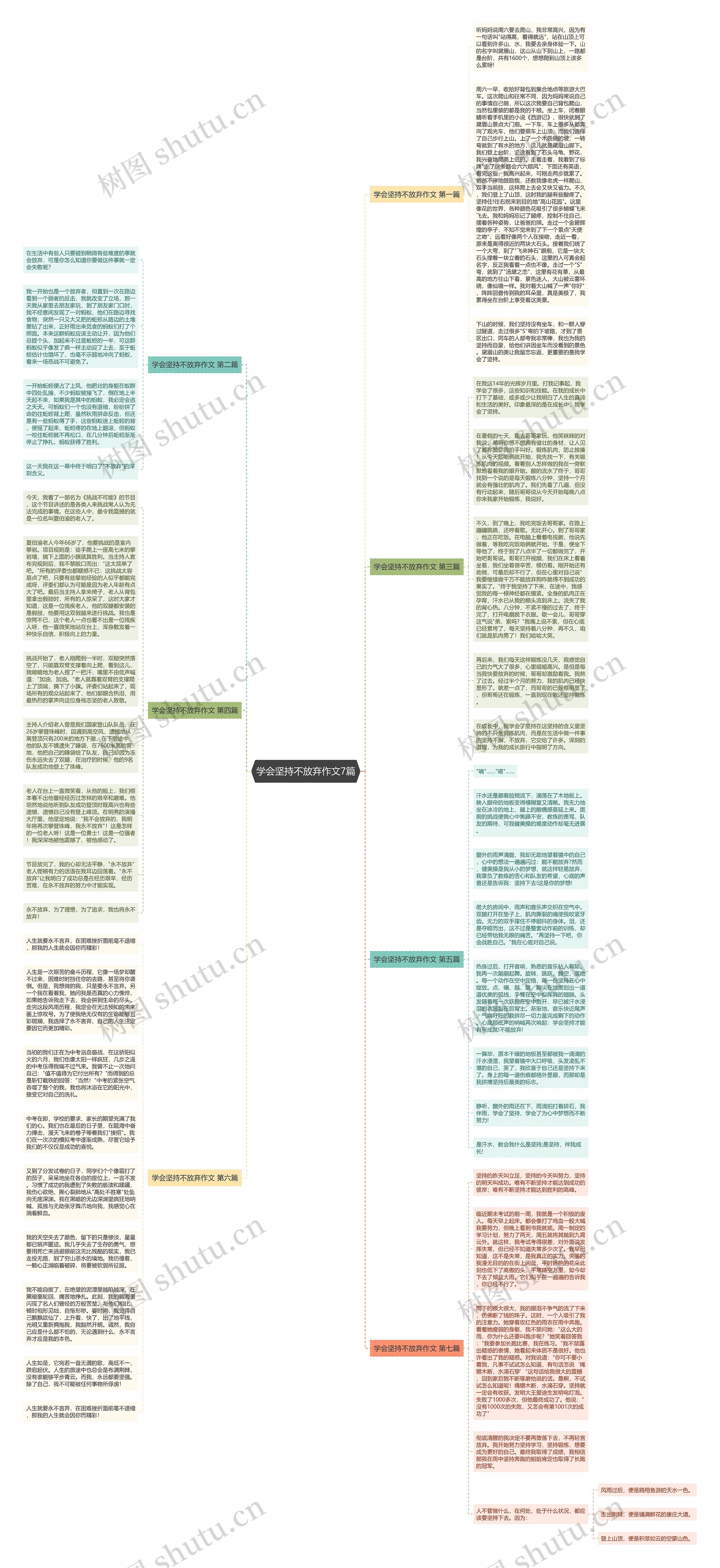 学会坚持不放弃作文7篇思维导图高清图 学会坚持不放弃作文7篇思维导图