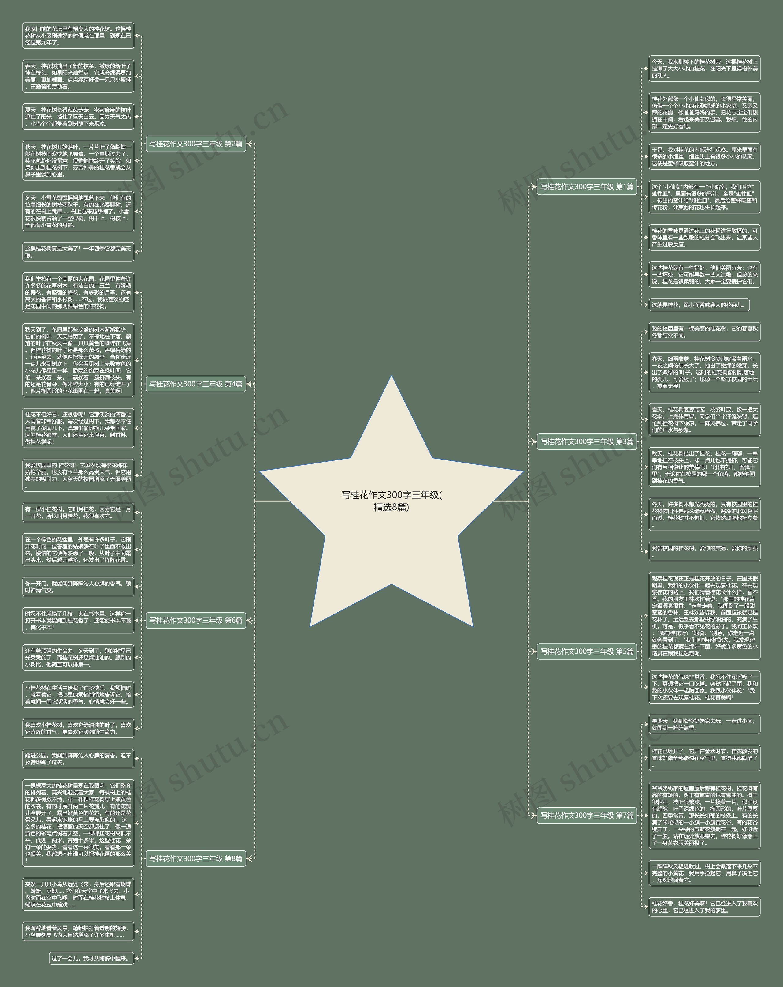 写桂花作文300字三年级(精选8篇) 写桂花作文300字三年级(精选8篇)