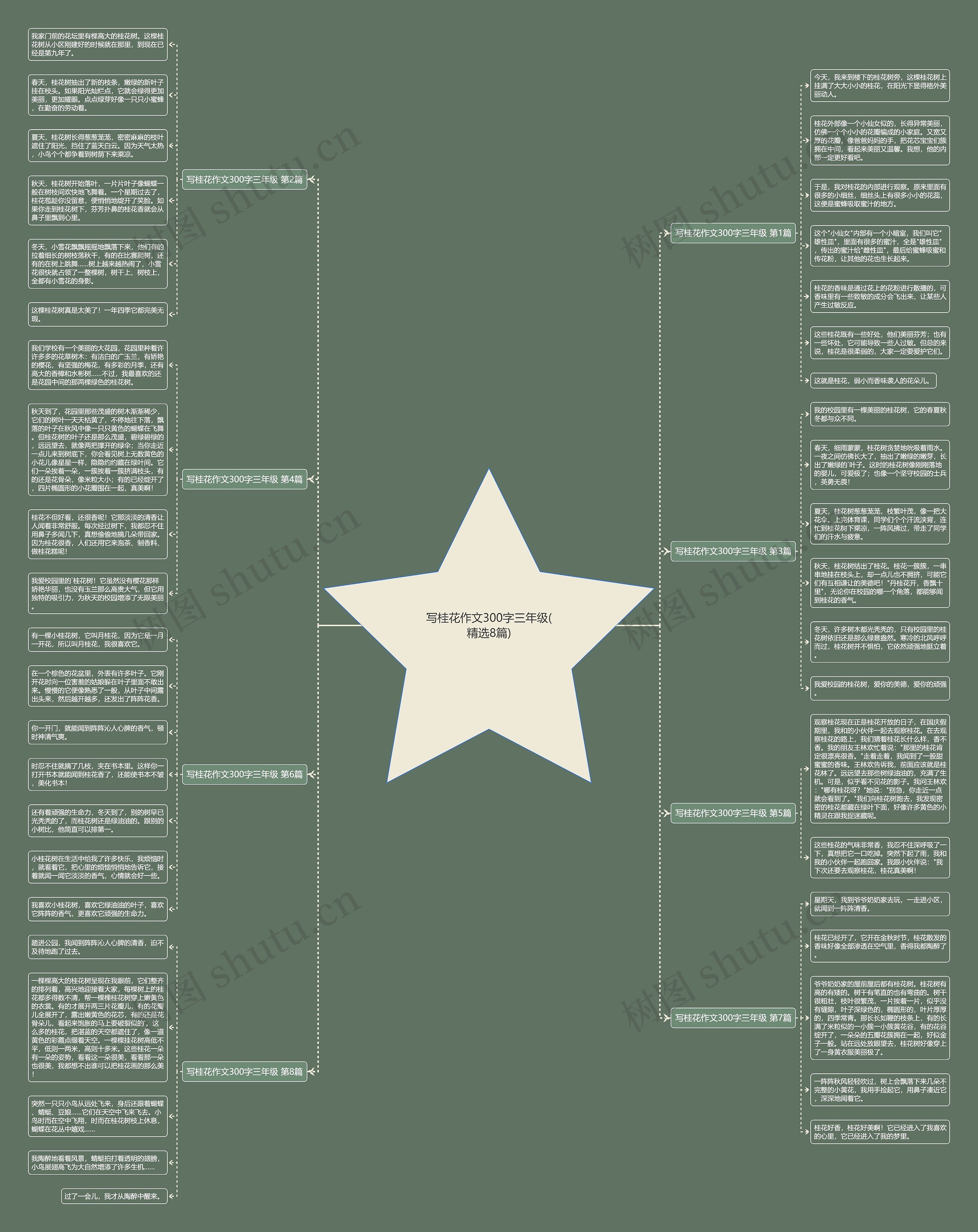 写桂花作文300字三年级(精选8篇)思维导图