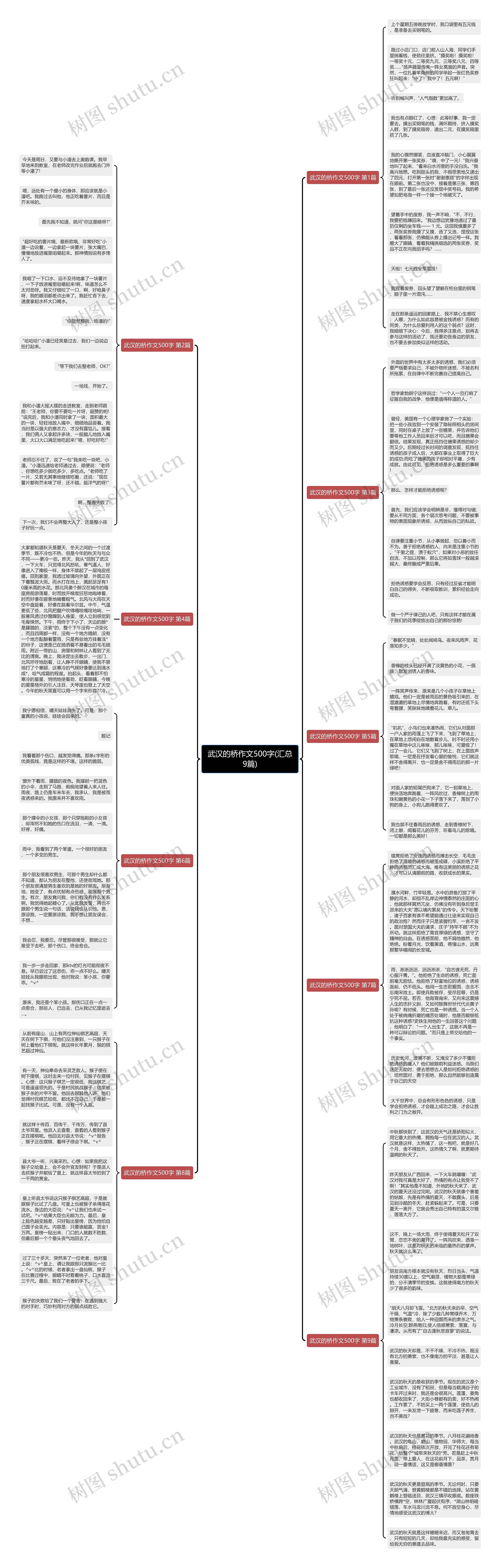 武汉的桥作文500字(汇总9篇)思维导图