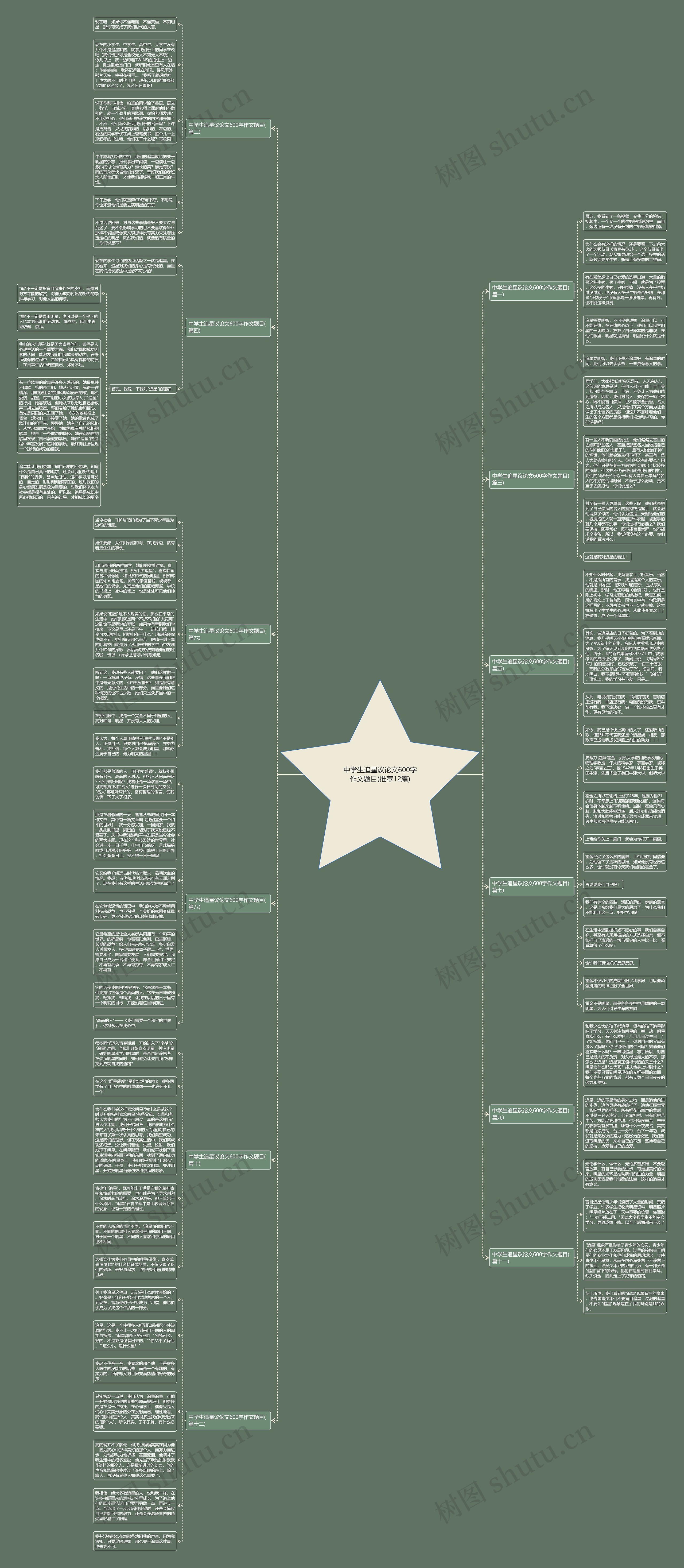 中学生追星议论文600字作文题目(推荐12篇)思维导图