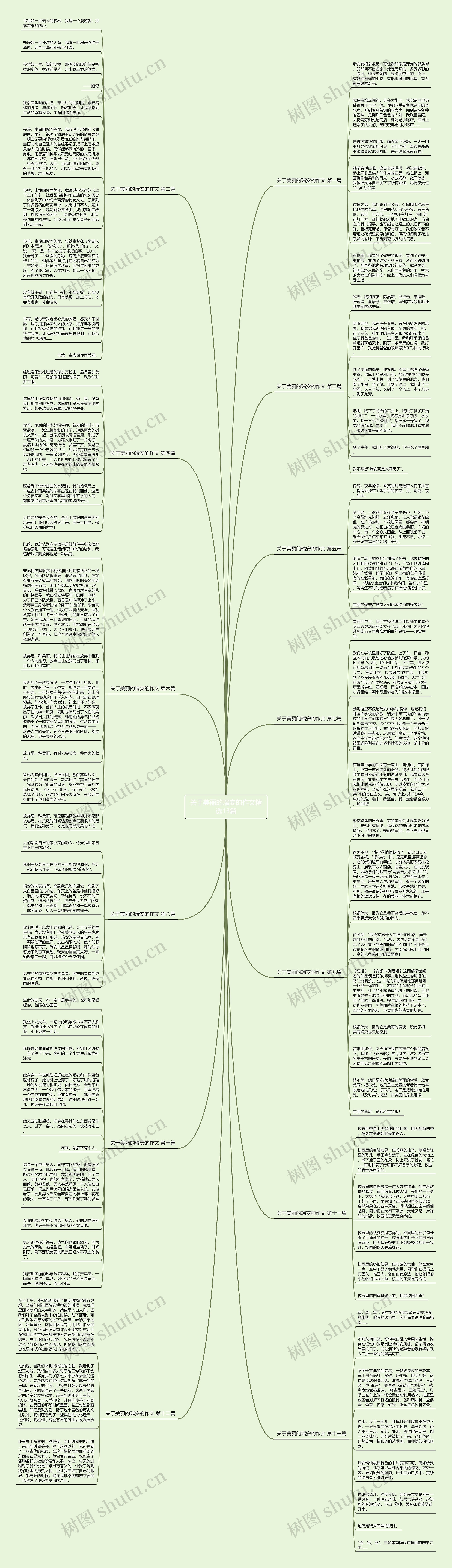 关于美丽的瑞安的作文精选13篇思维导图高清图 关于美丽的瑞安的作文精选13篇思维导图