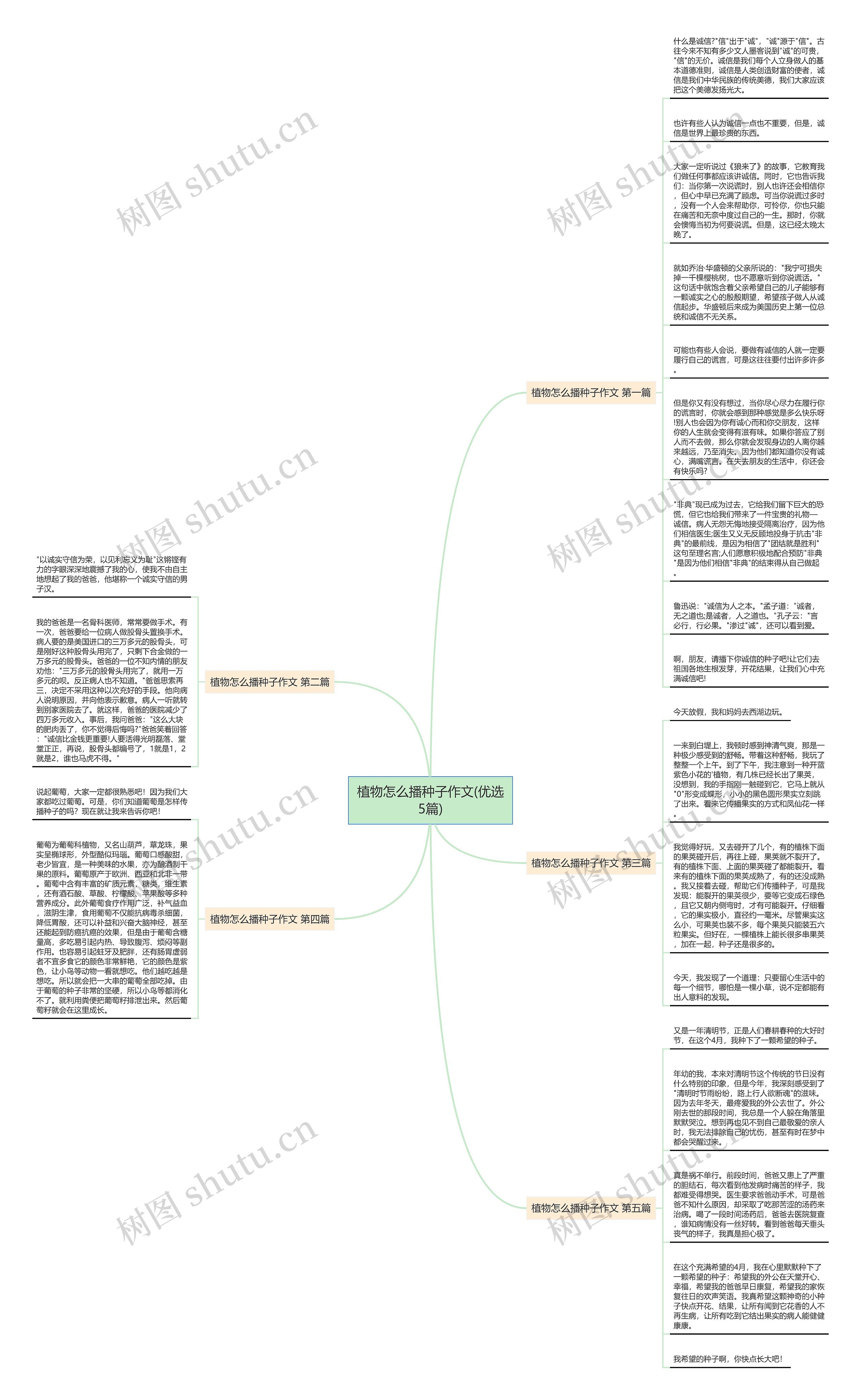 植物怎么播种子作文(优选5篇)思维导图