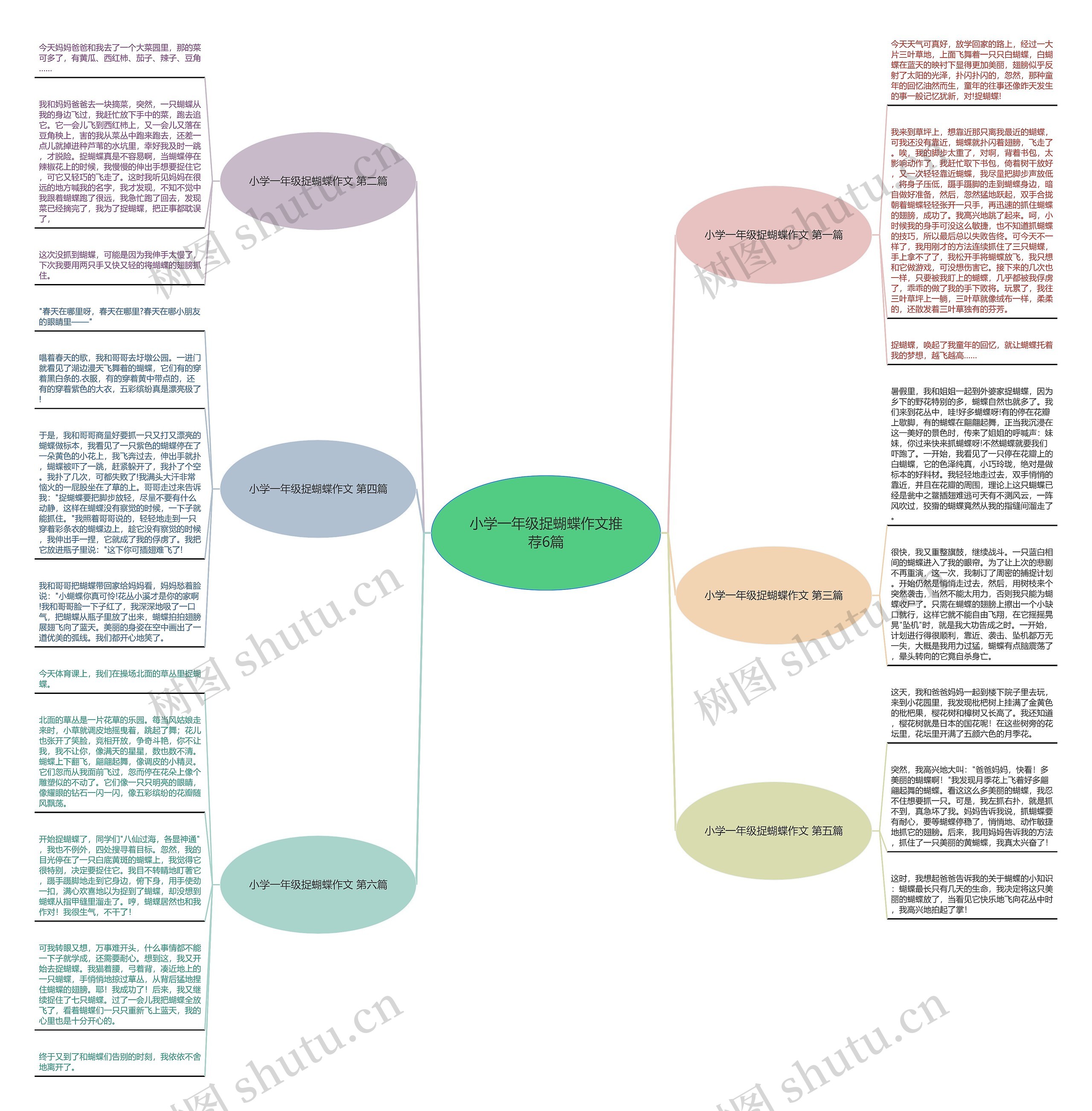 小学一年级捉蝴蝶作文推荐6篇思维导图