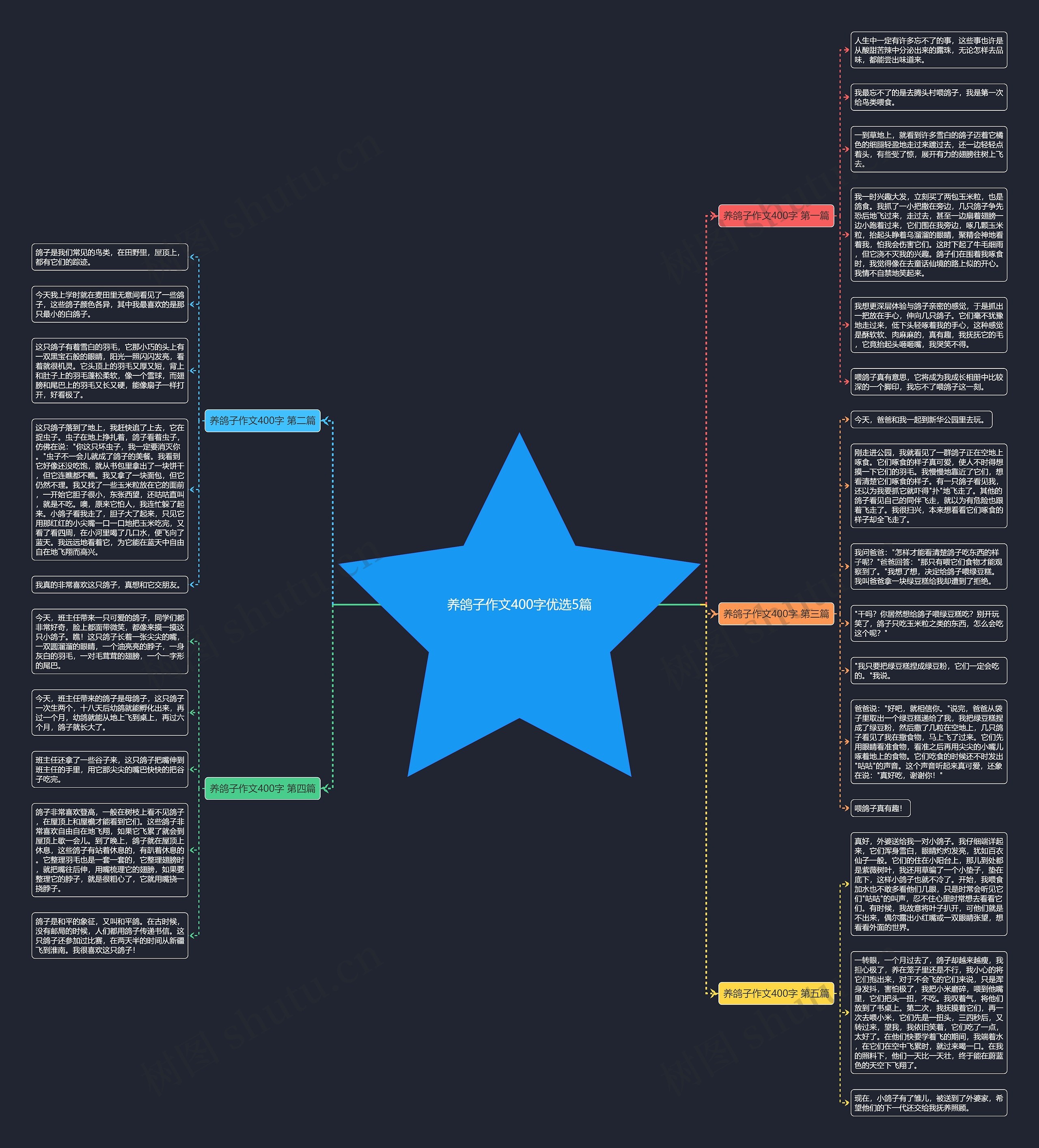 养鸽子作文400字优选5篇 养鸽子作文400字优选5篇