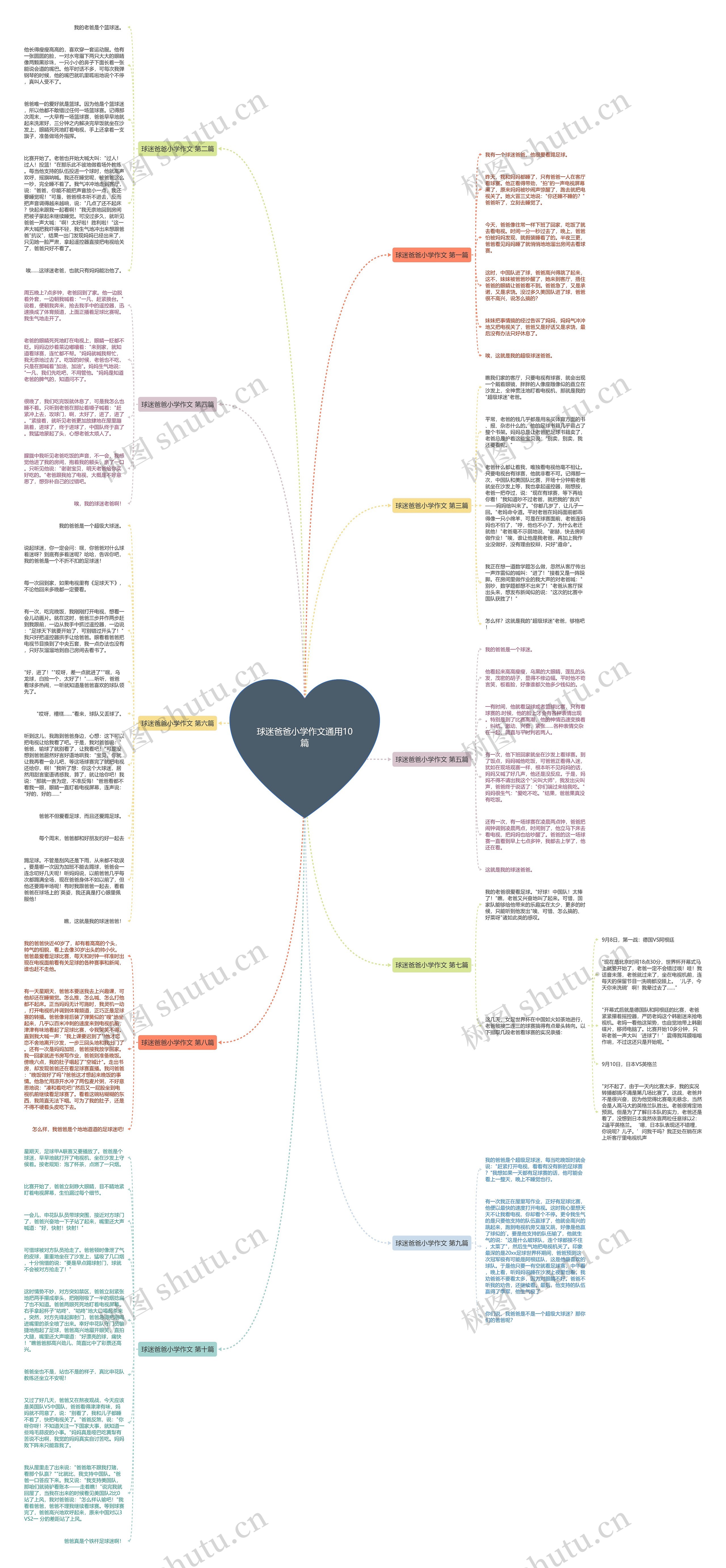 球迷爸爸小学作文通用10篇思维导图