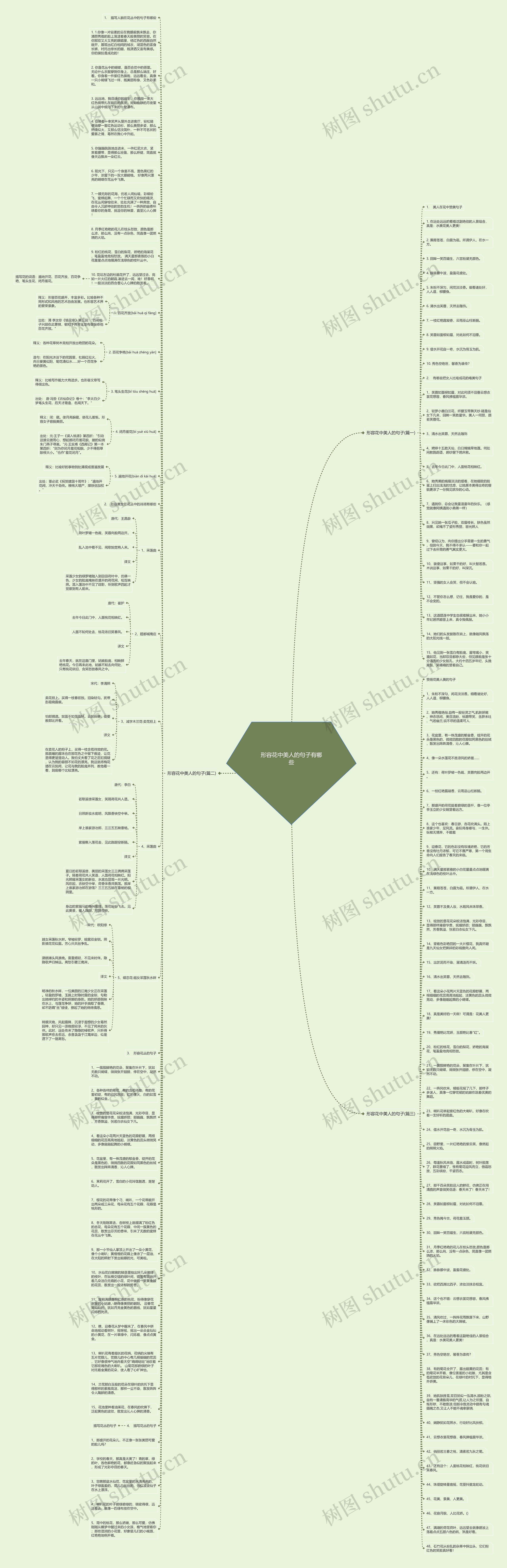 形容花中美人的句子有哪些思维导图