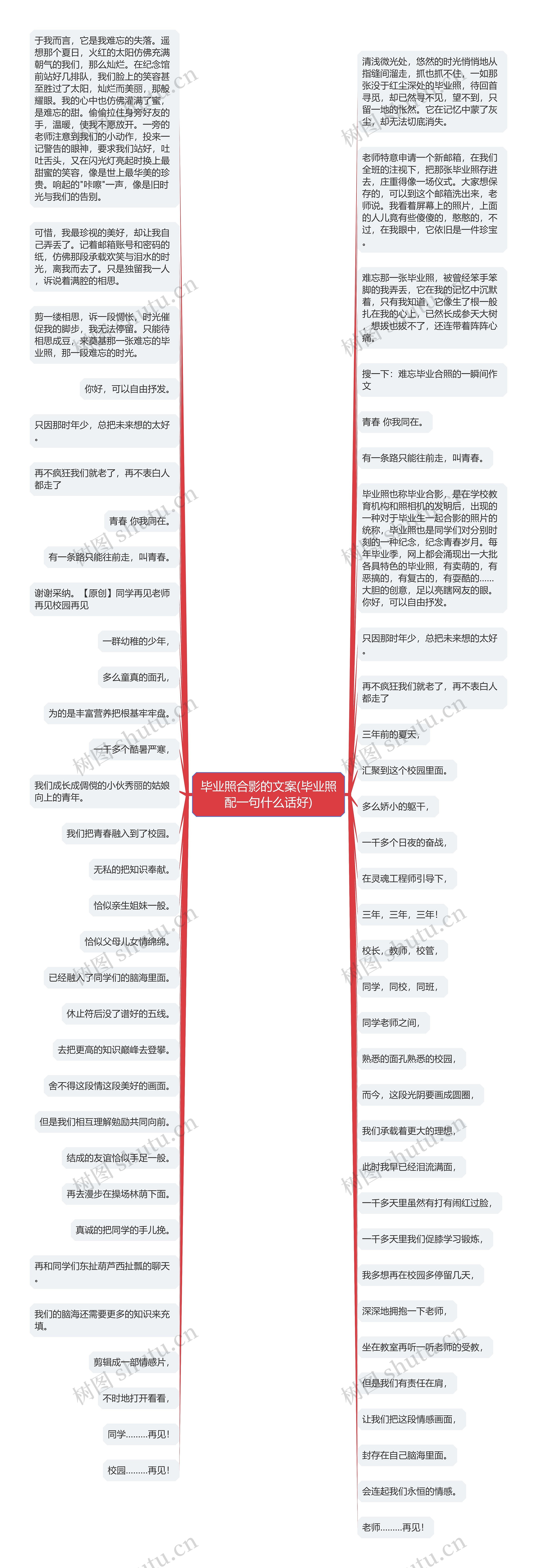 毕业照合影的文案(毕业照配一句什么话好)