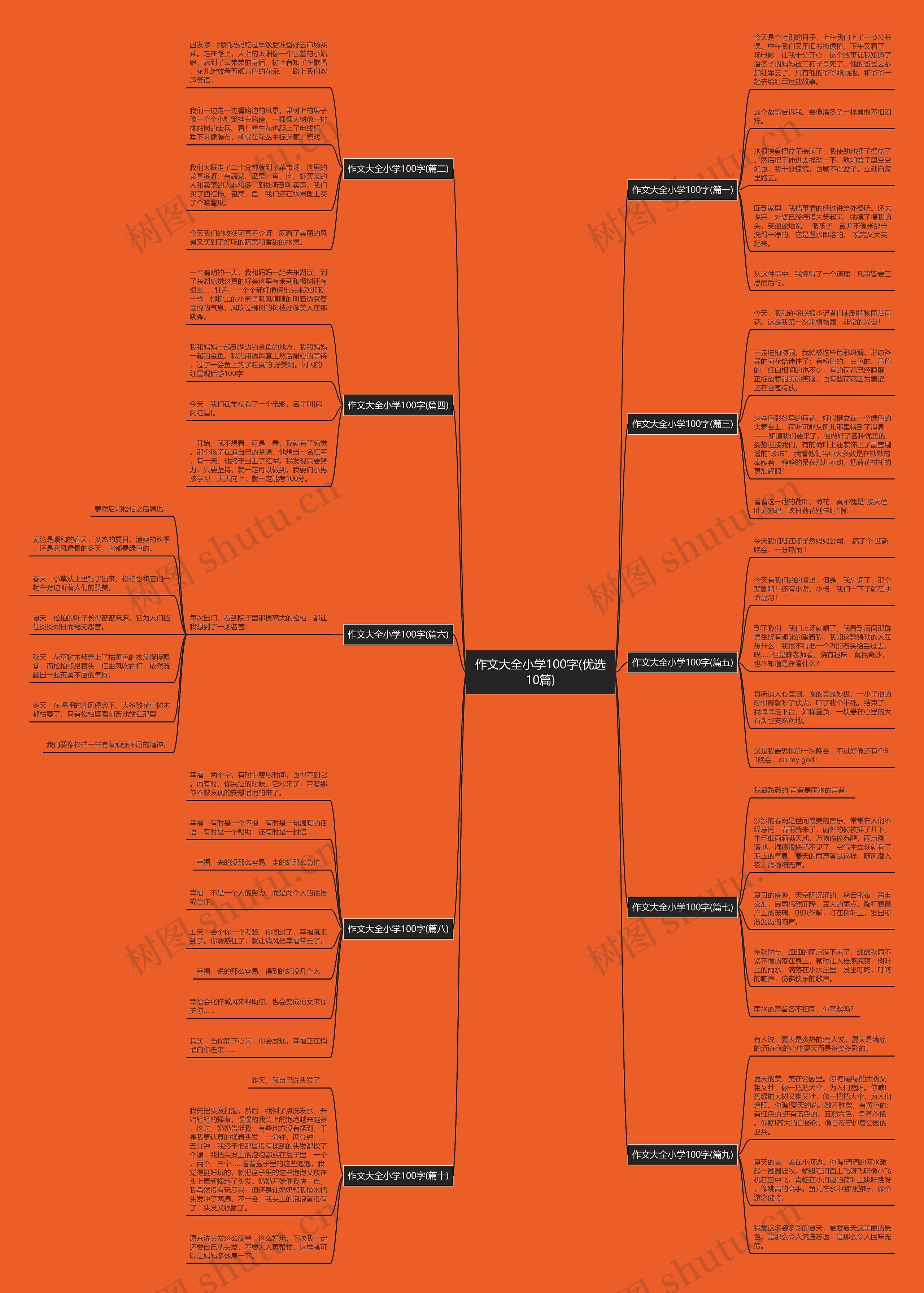 作文大全小学100字(优选10篇)思维导图