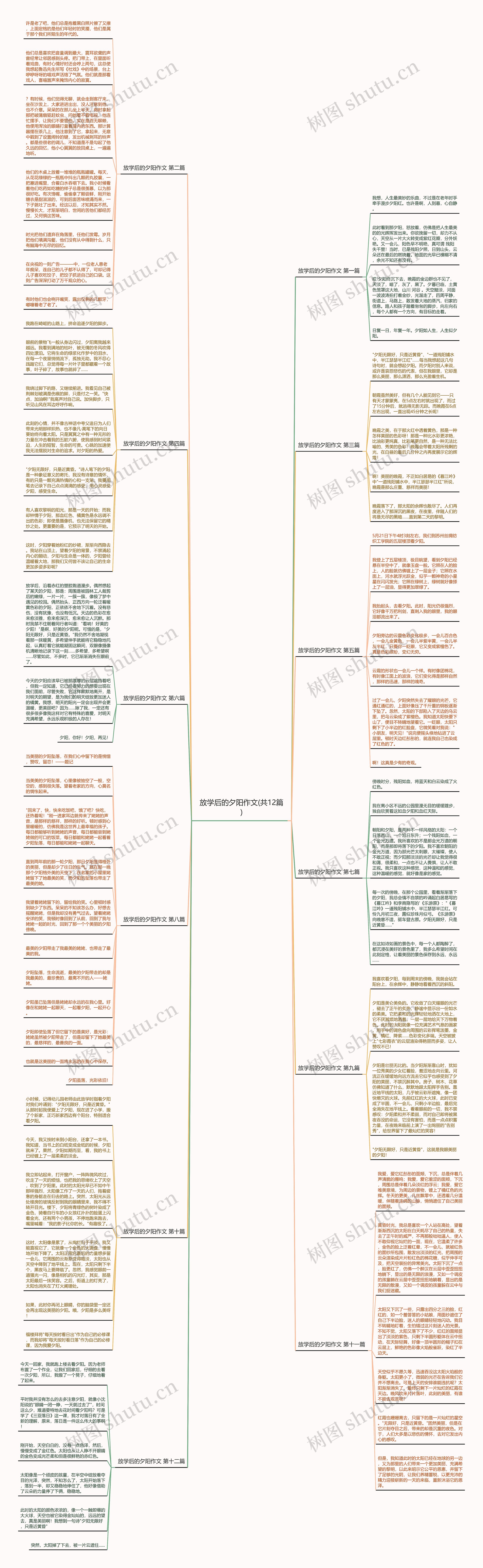 放学后的夕阳作文(共12篇)思维导图