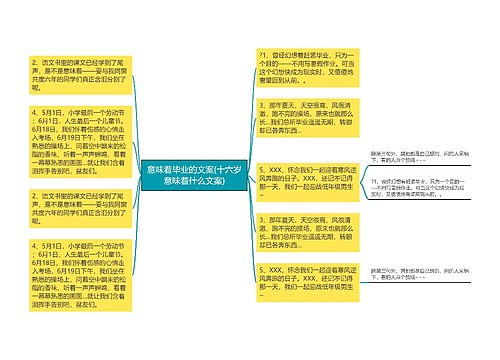 意味着毕业的文案(十六岁意味着什么文案)