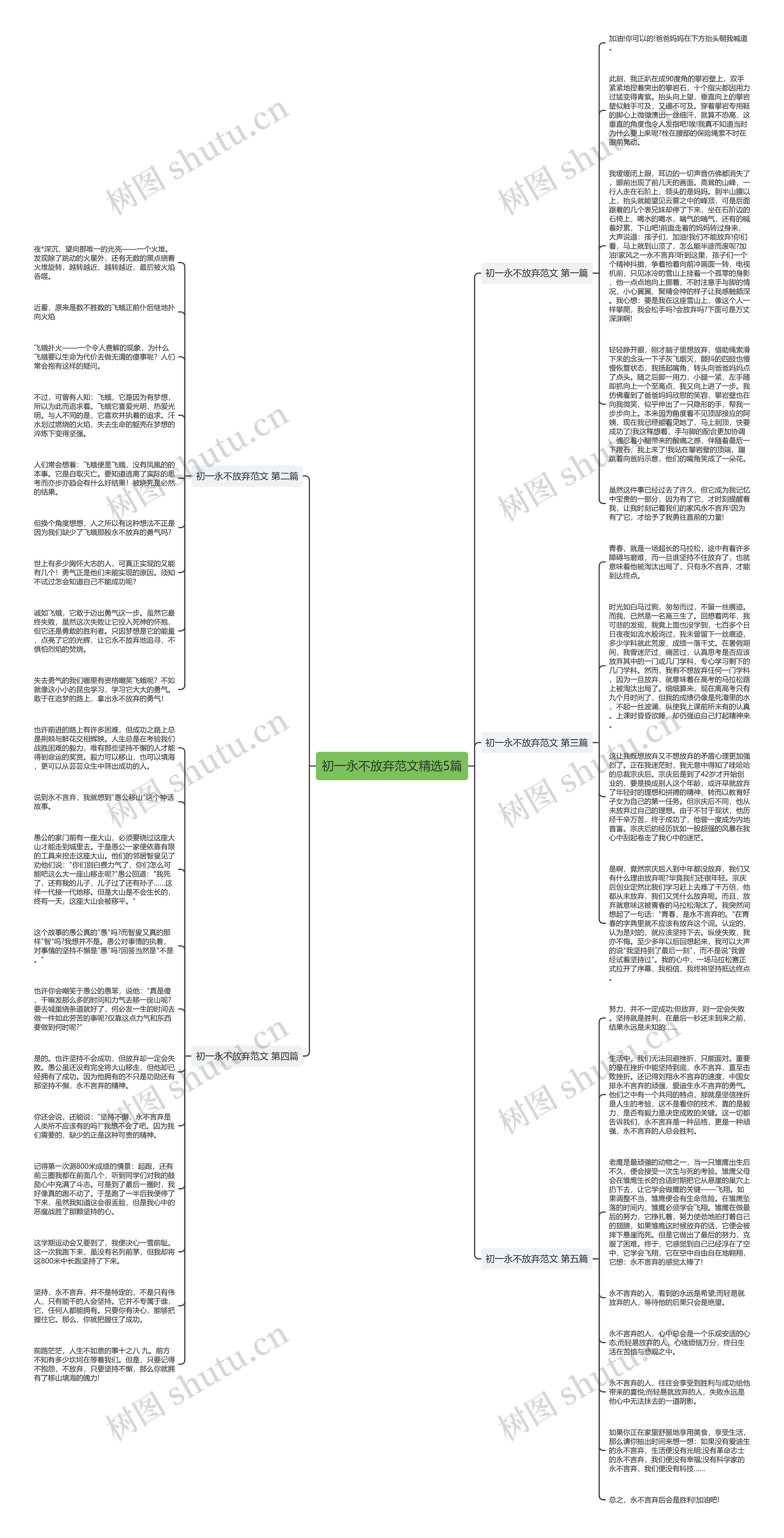 初一永不放弃范文精选5篇思维导图