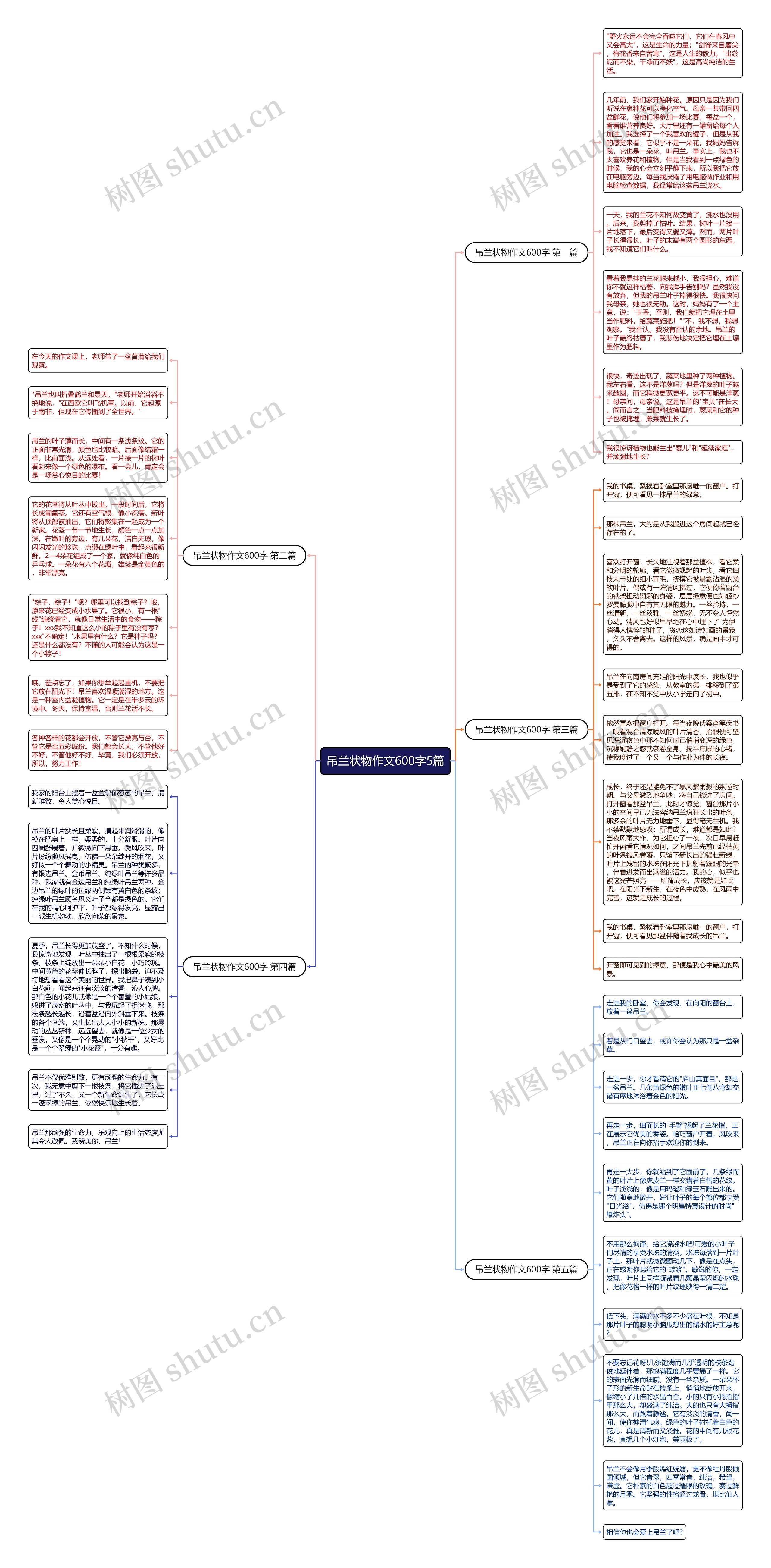 吊兰状物作文600字5篇思维导图