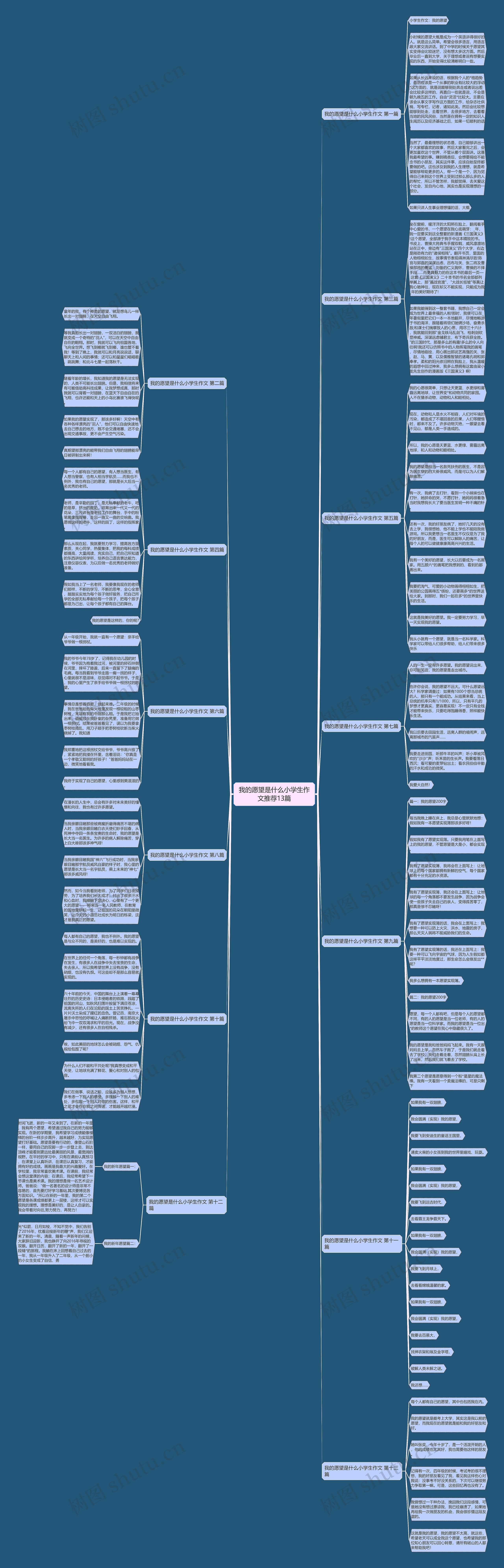 我的愿望是什么小学生作文推荐13篇思维导图