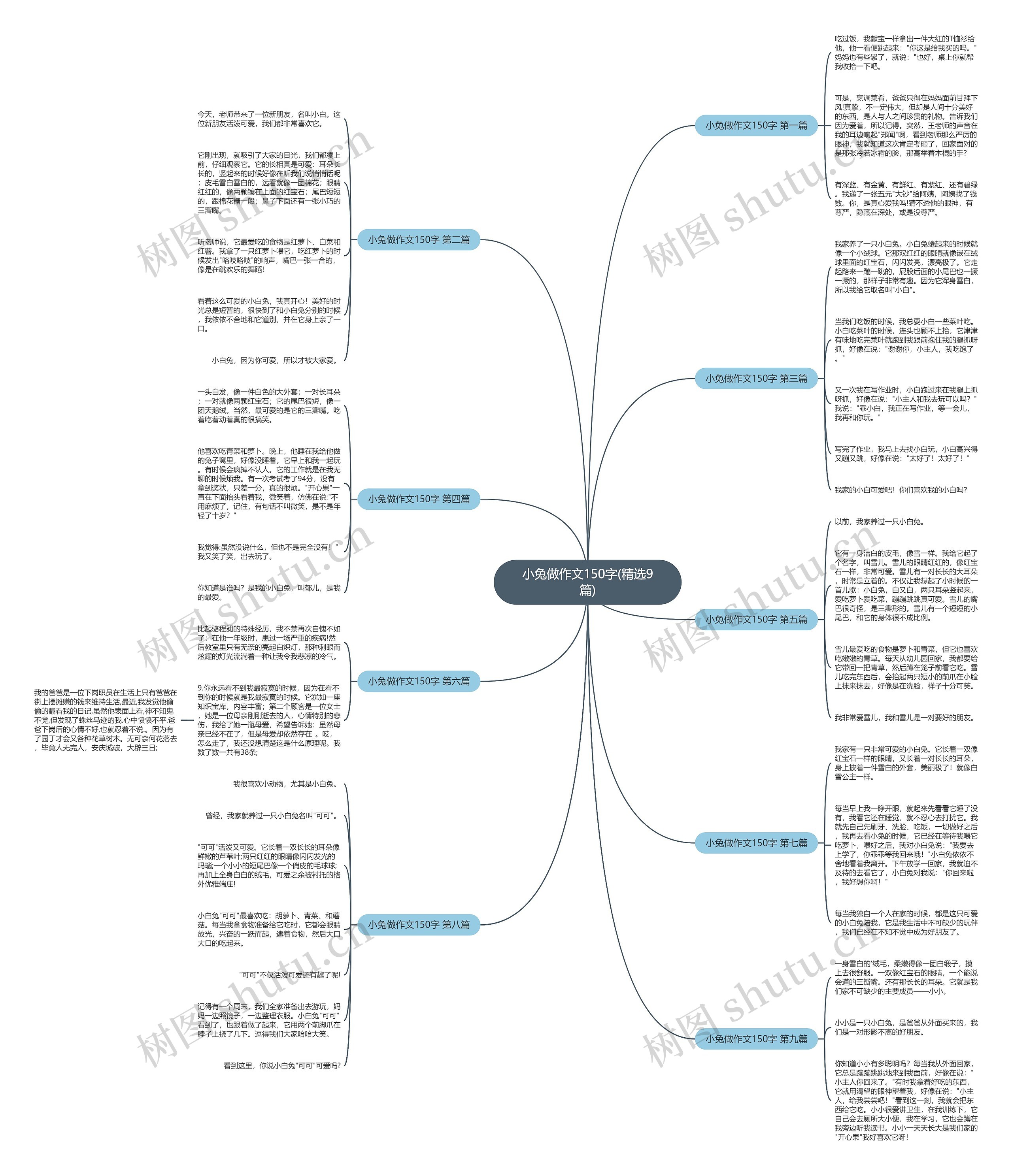 小兔做作文150字(精选9篇)思维导图