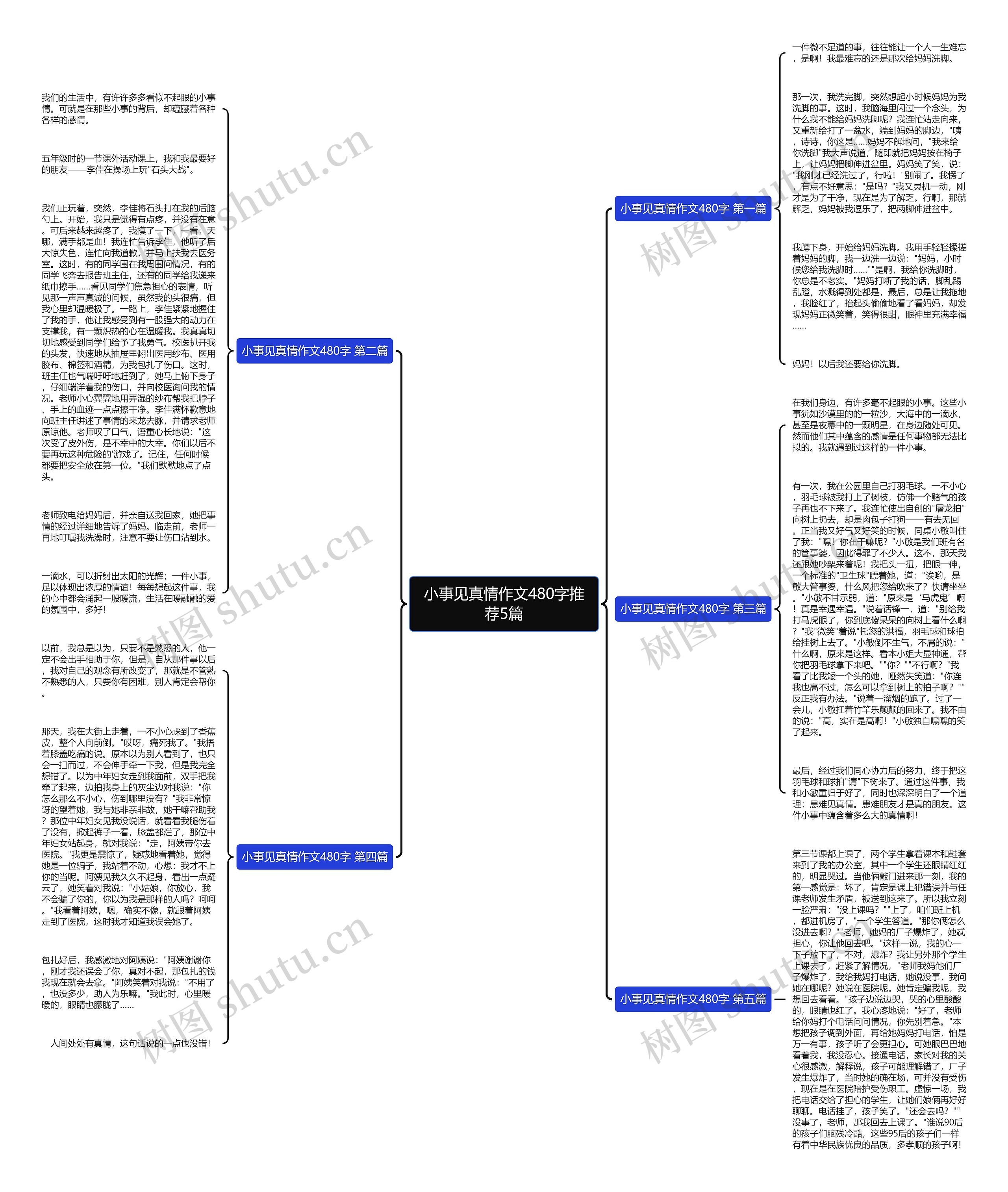 小事见真情作文480字推荐5篇思维导图