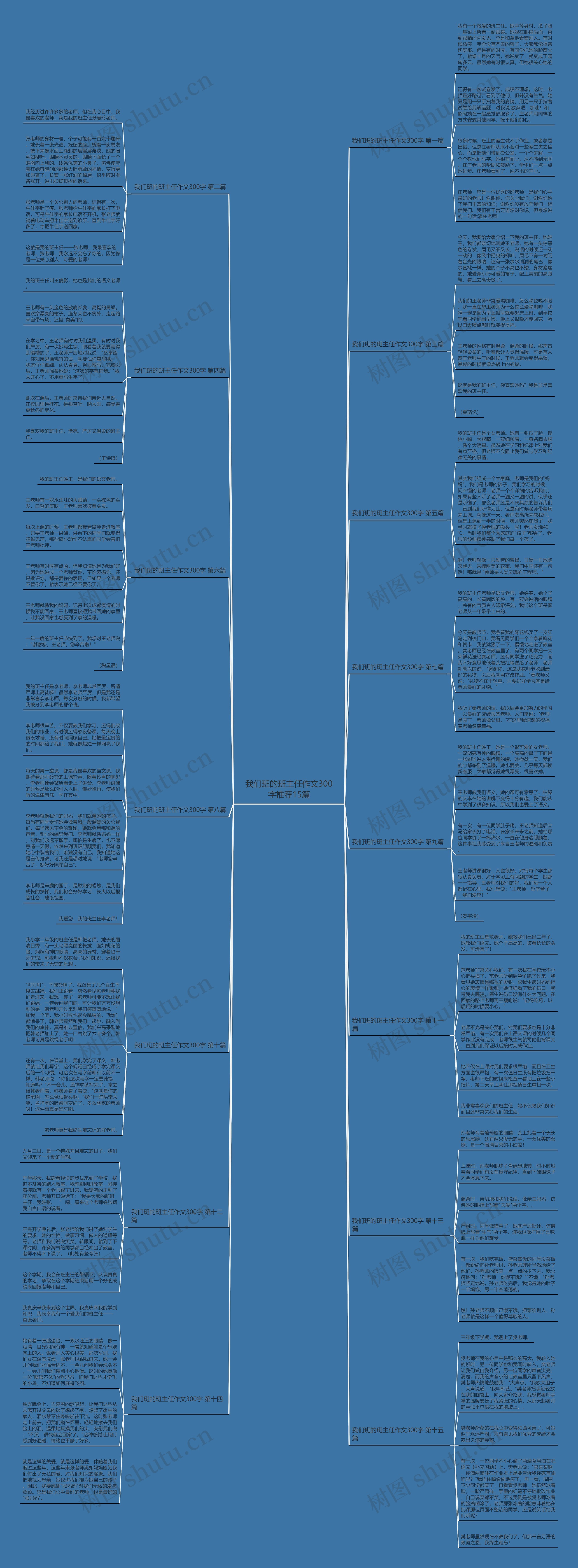 我们班的班主任作文300字推荐15篇