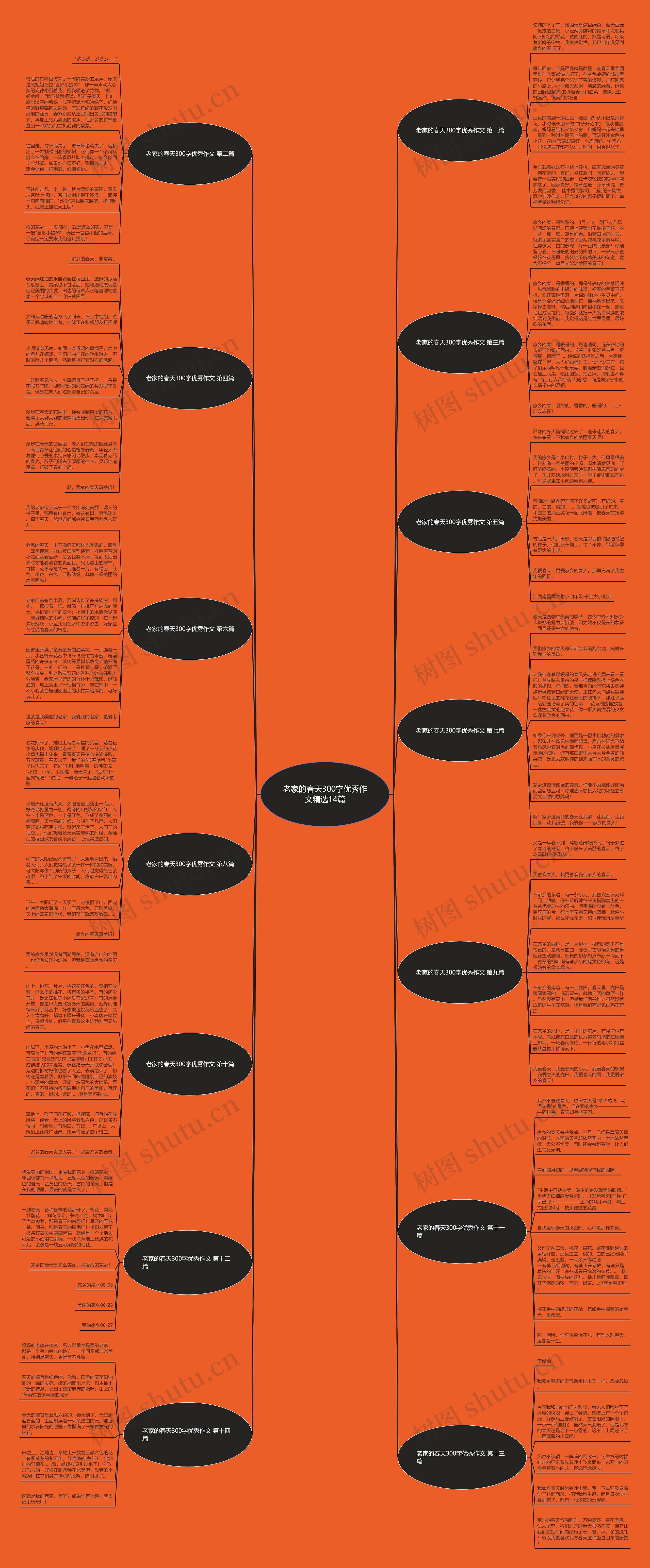 老家的春天300字优秀作文精选14篇思维导图