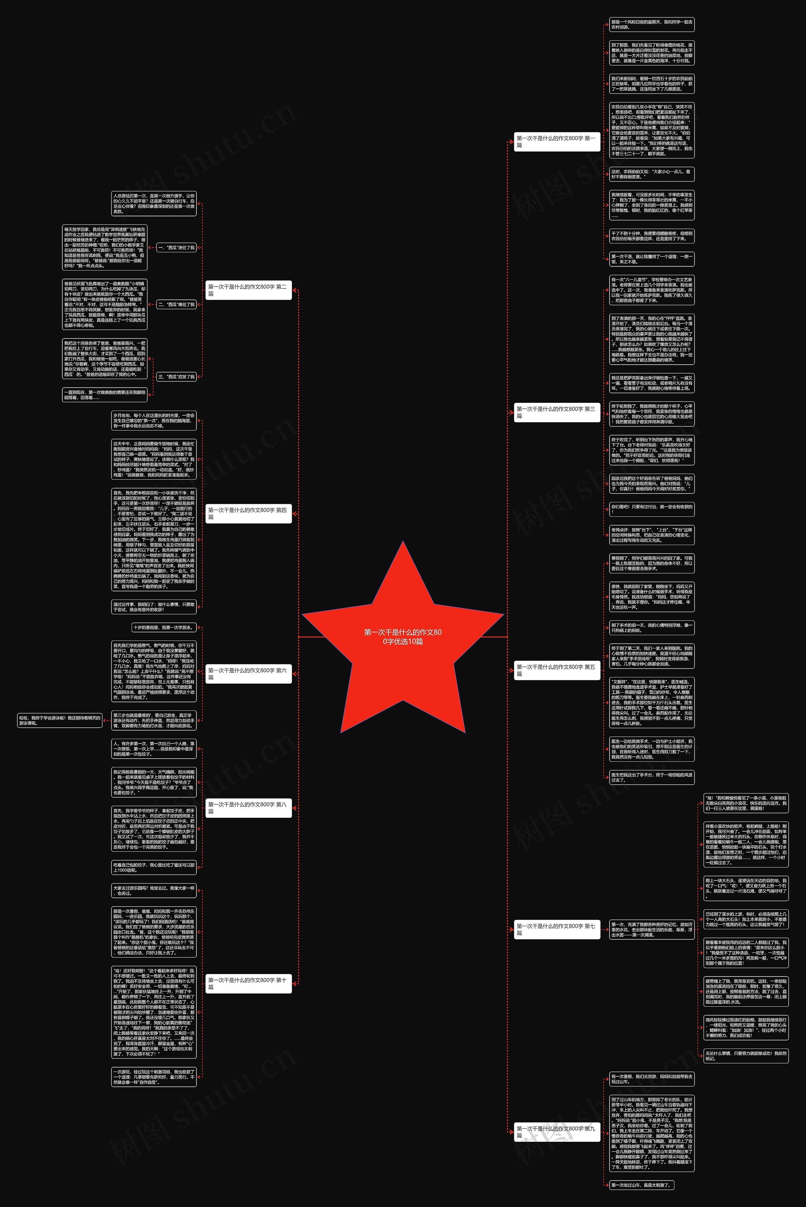 第一次干是什么的作文800字优选10篇思维导图