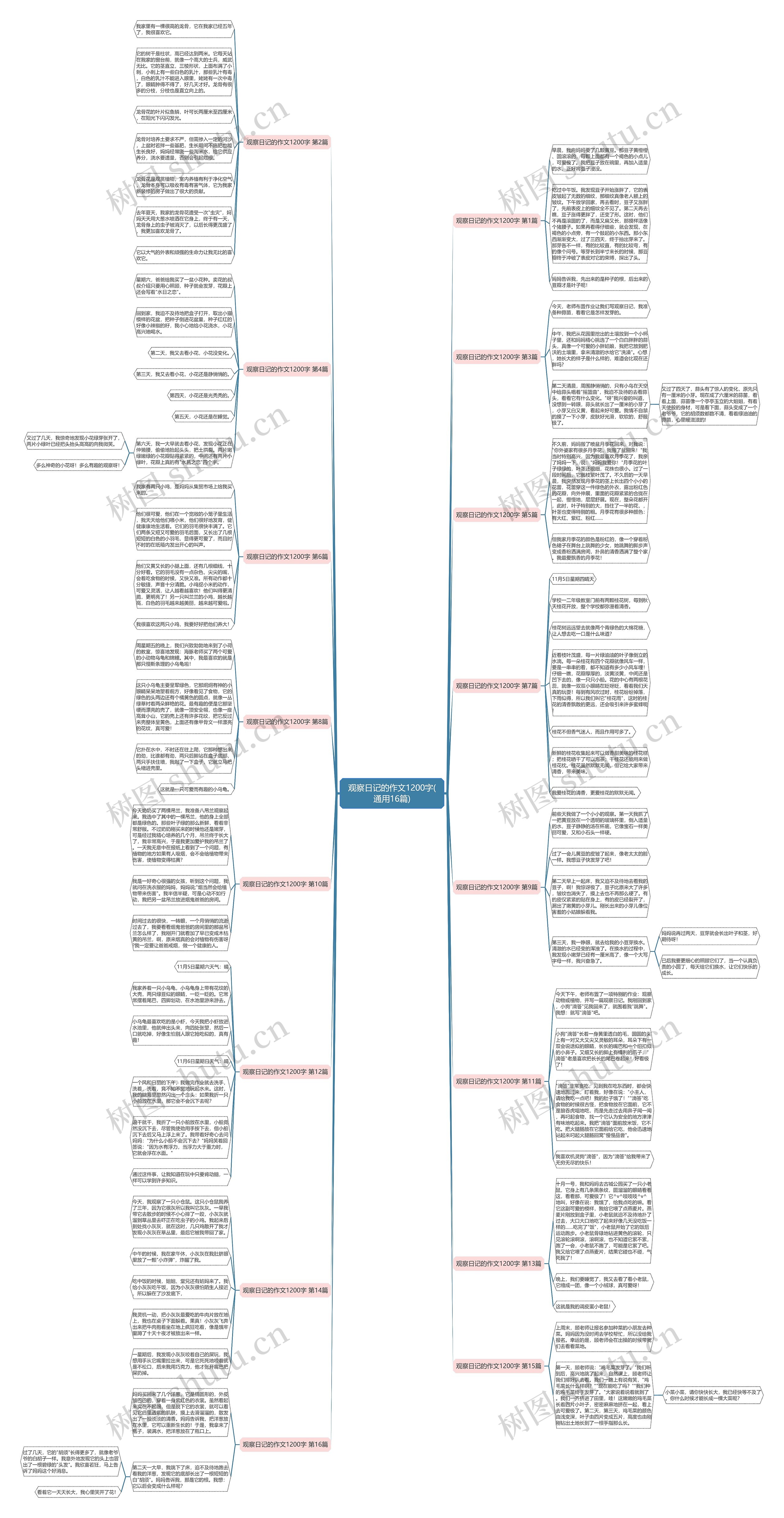 观察日记的作文1200字(通用16篇) 观察日记的作文1200字(通用16篇)