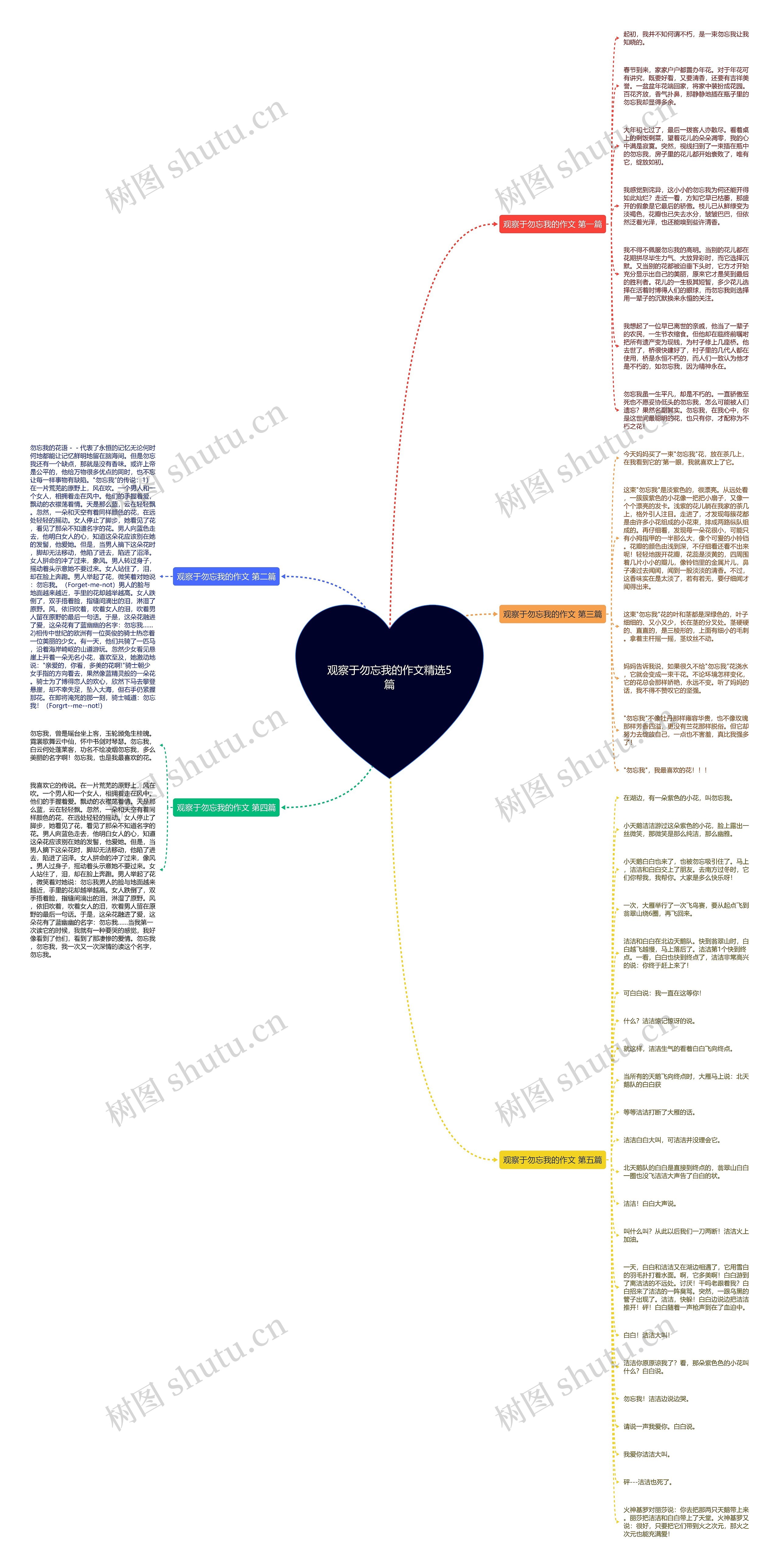 观察于勿忘我的作文精选5篇思维导图