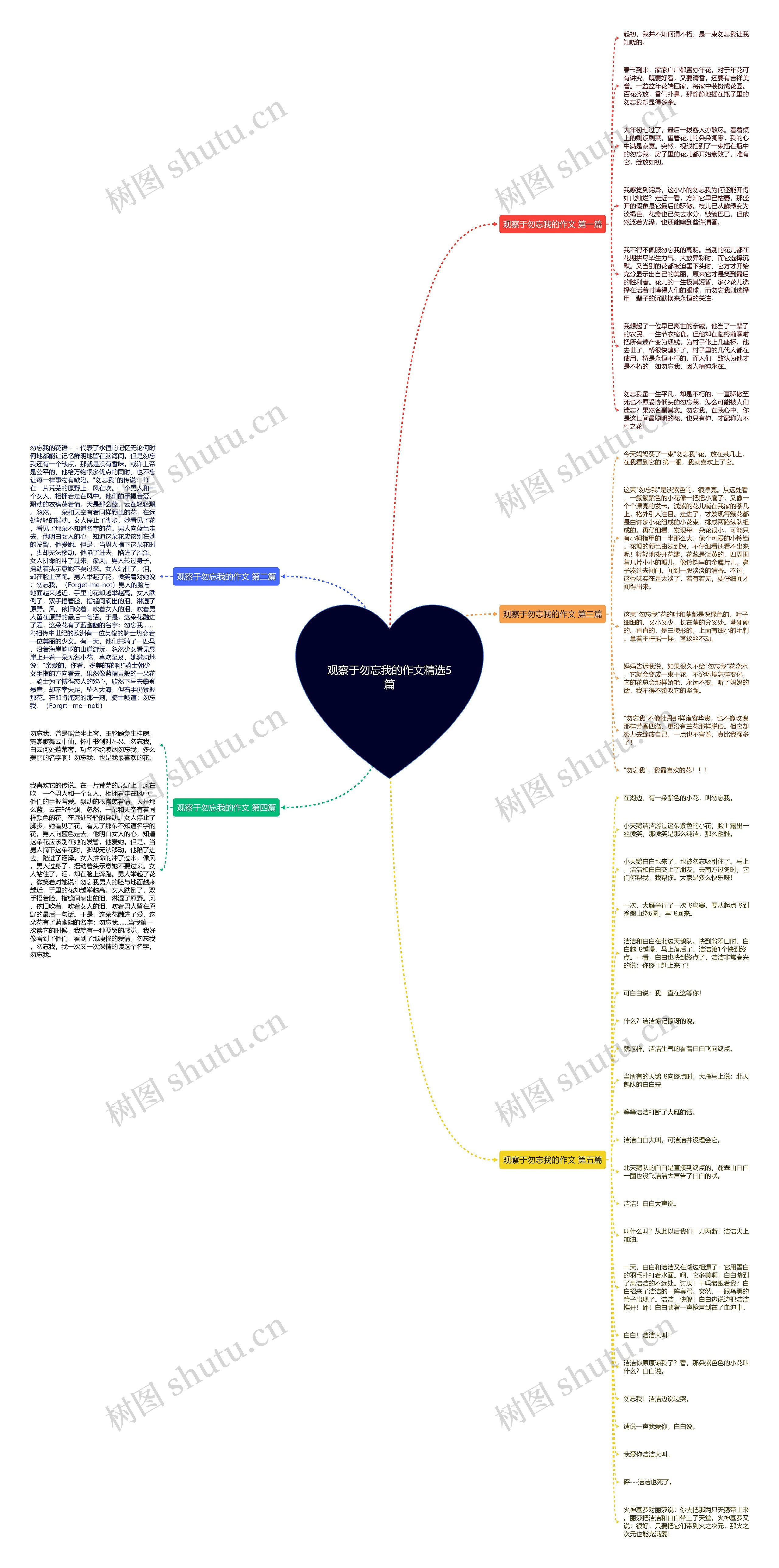 观察于勿忘我的作文精选5篇 观察于勿忘我的作文精选5篇