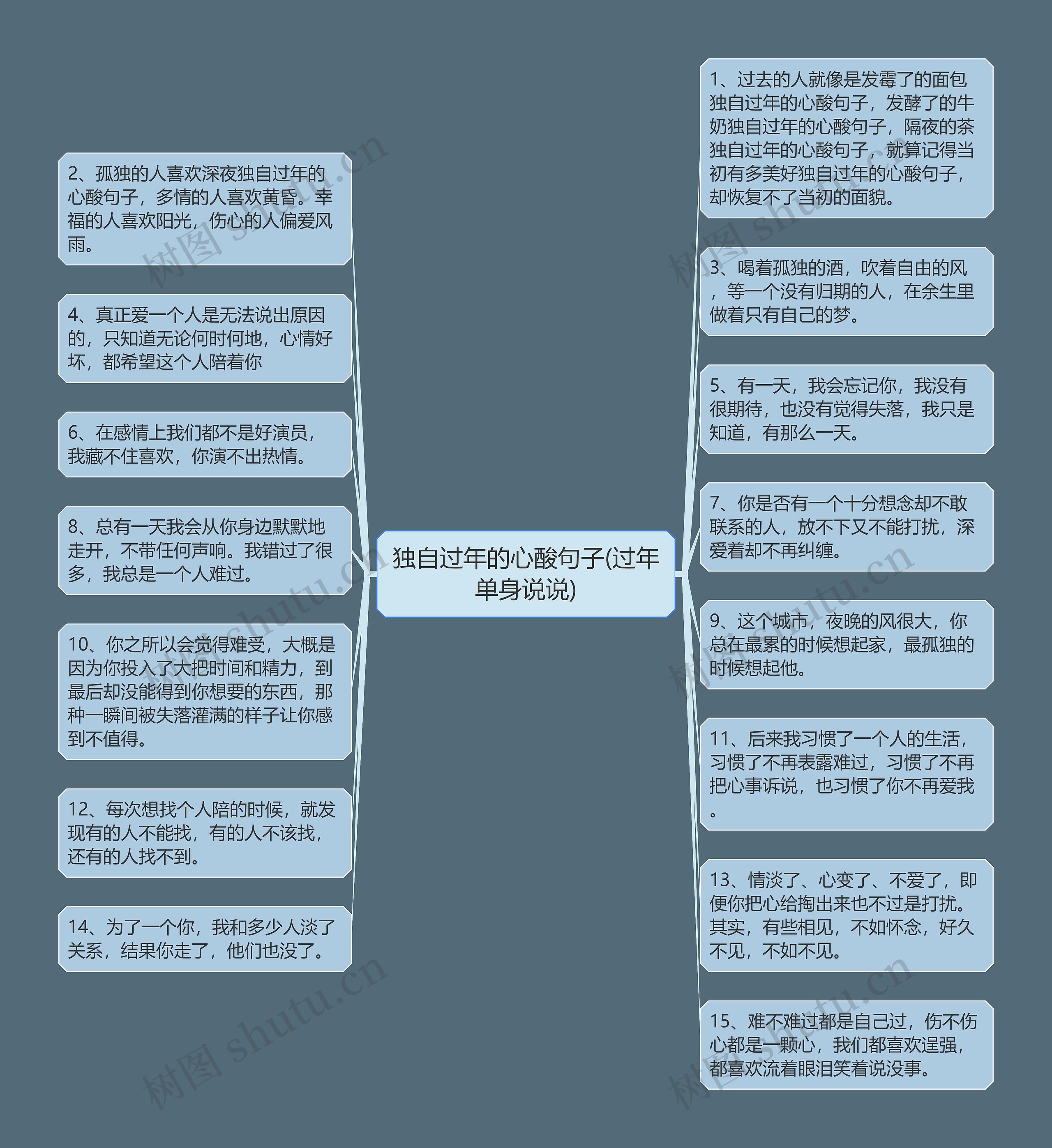 独自过年的心酸句子(过年单身说说)思维导图