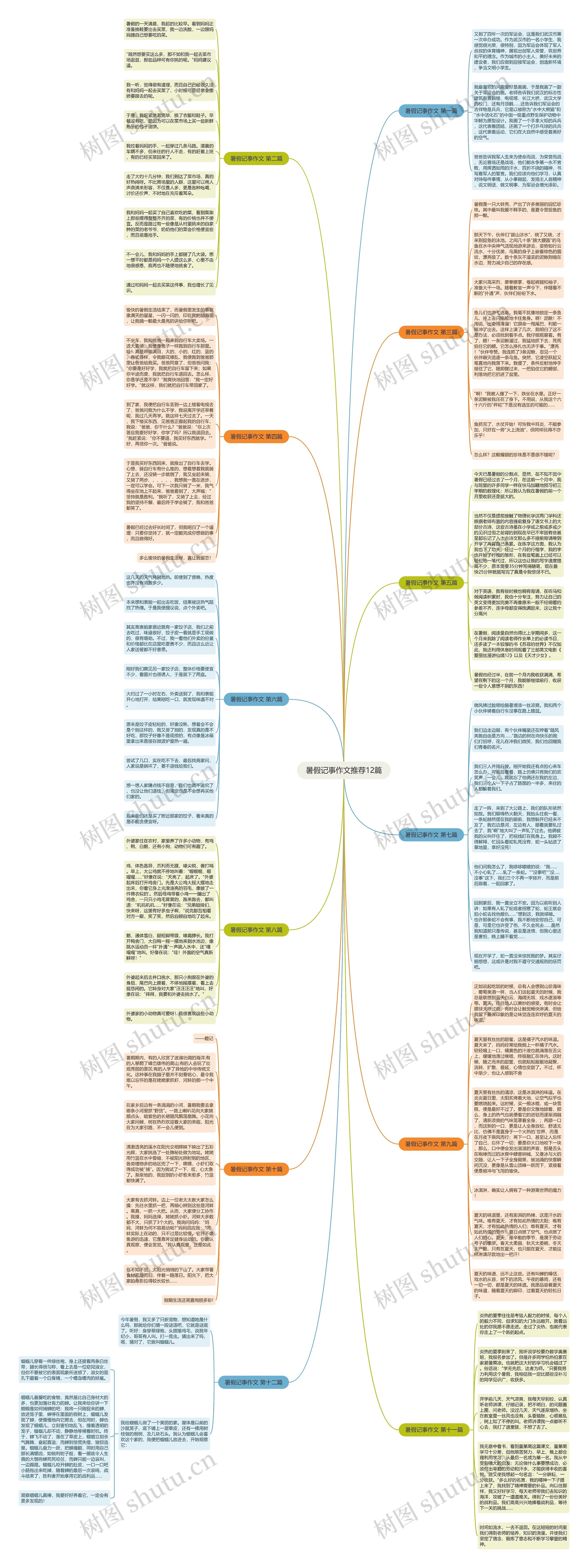 暑假记事作文推荐12篇思维导图