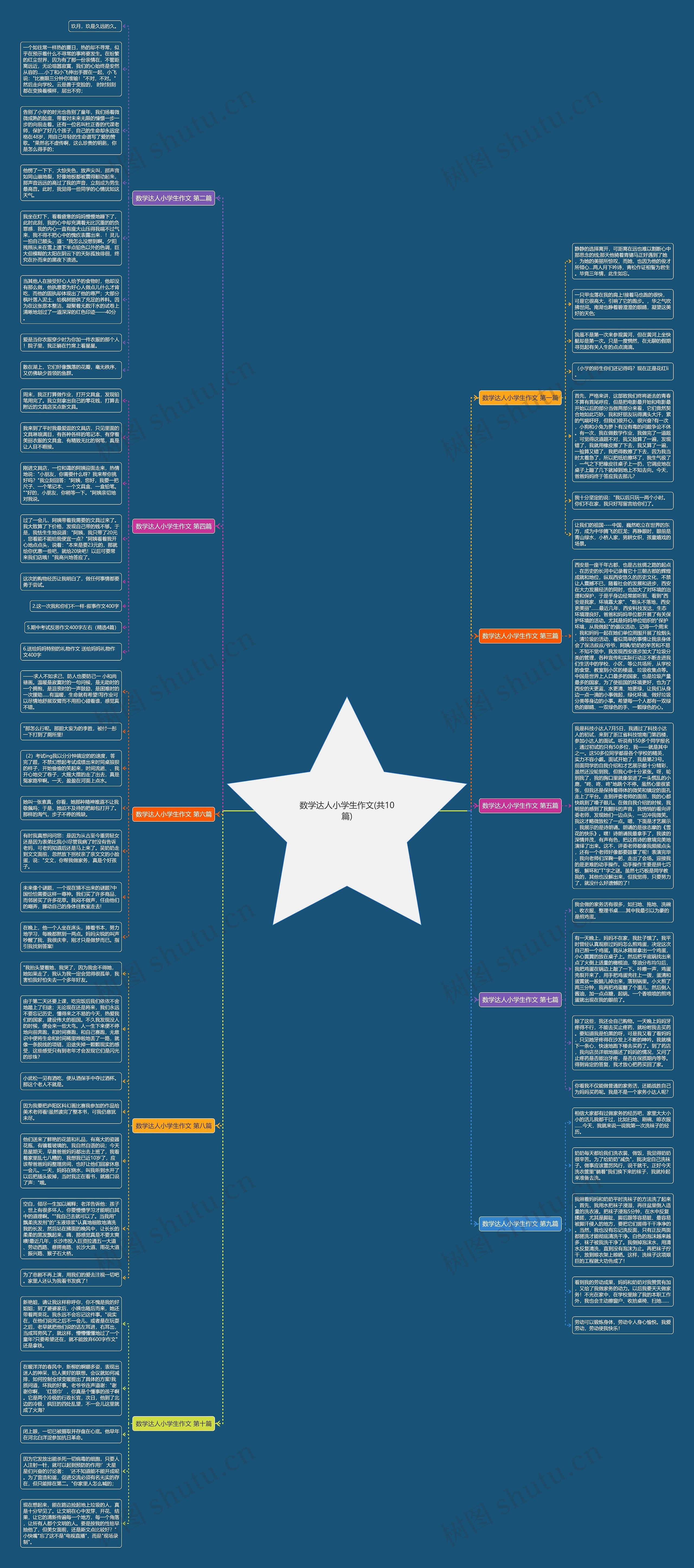 数学达人小学生作文(共10篇)思维导图