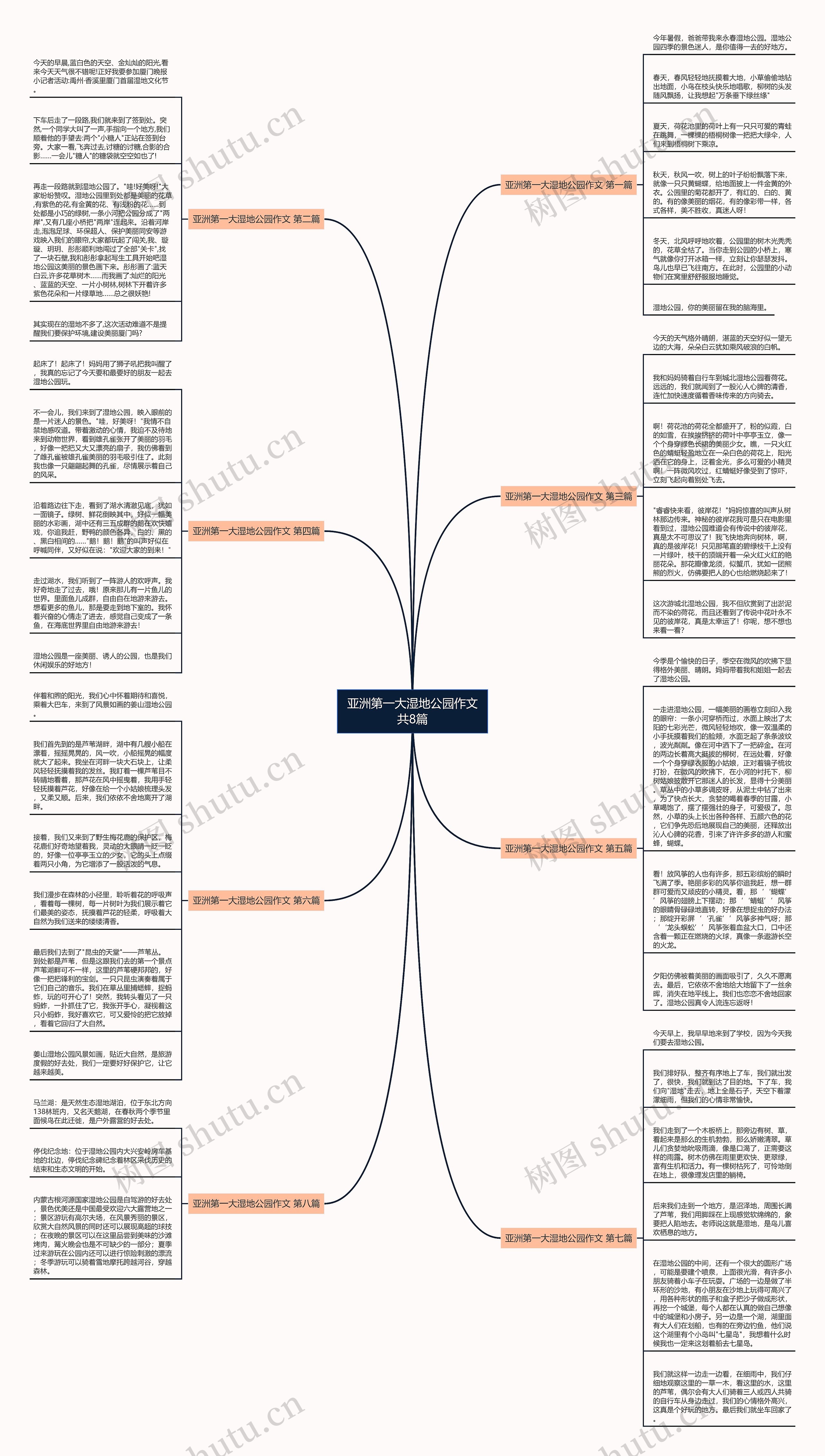 亚洲第一大湿地公园作文共8篇思维导图