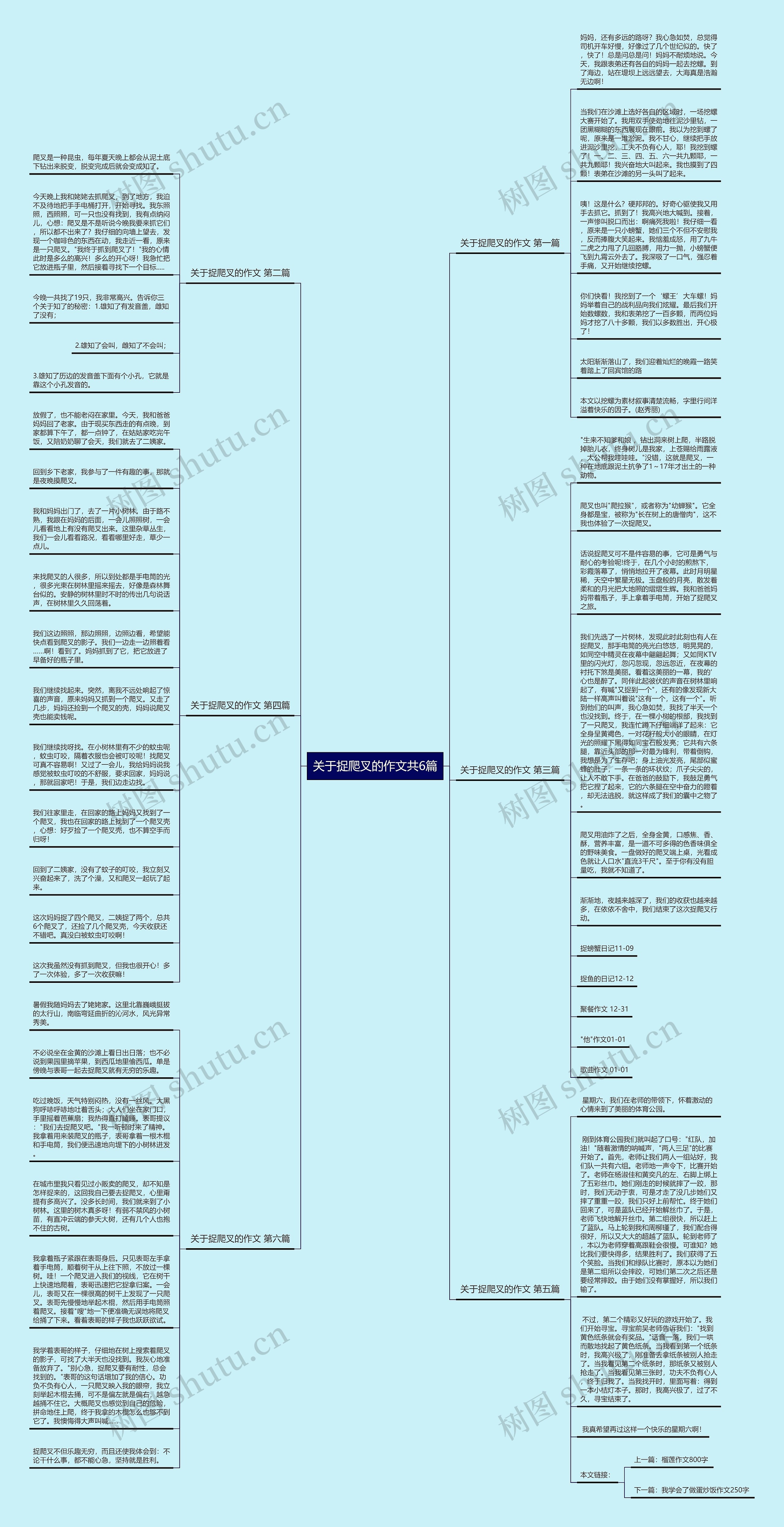 关于捉爬叉的作文共6篇思维导图