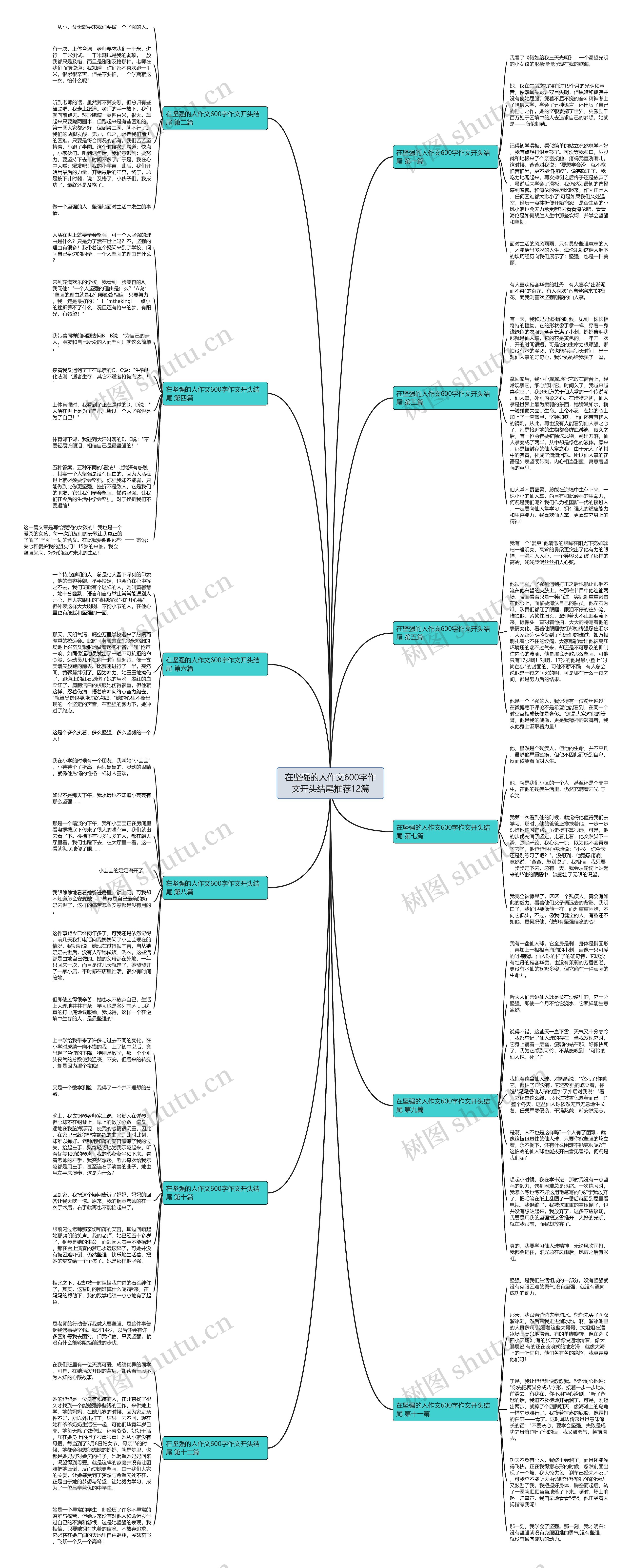 在坚强的人作文600字作文开头结尾推荐12篇思维导图